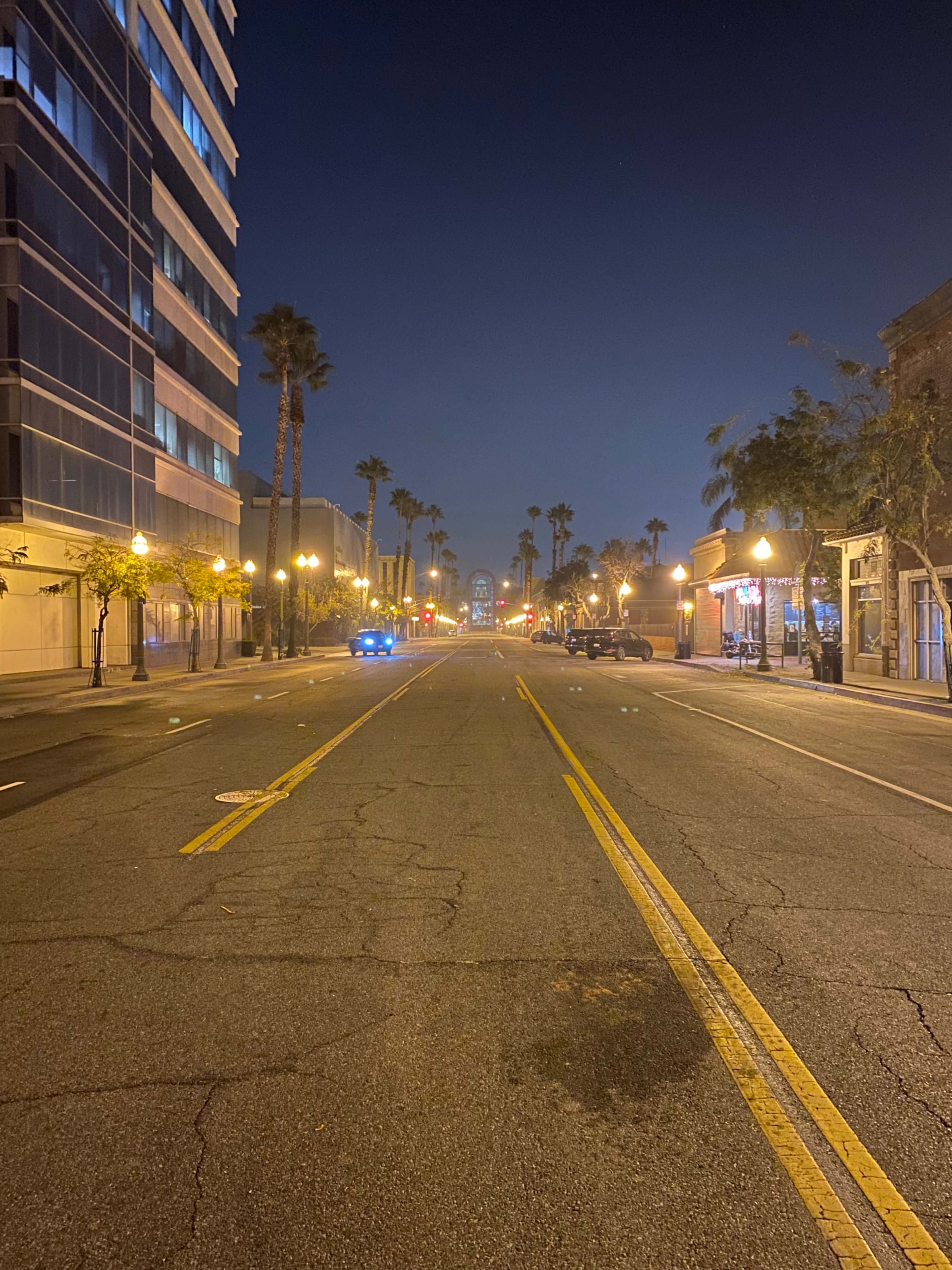 A quiet street is illuminated by streetlights and flanked by palm trees, with a police car parked on the left and a distant building visible at the end of the road.
