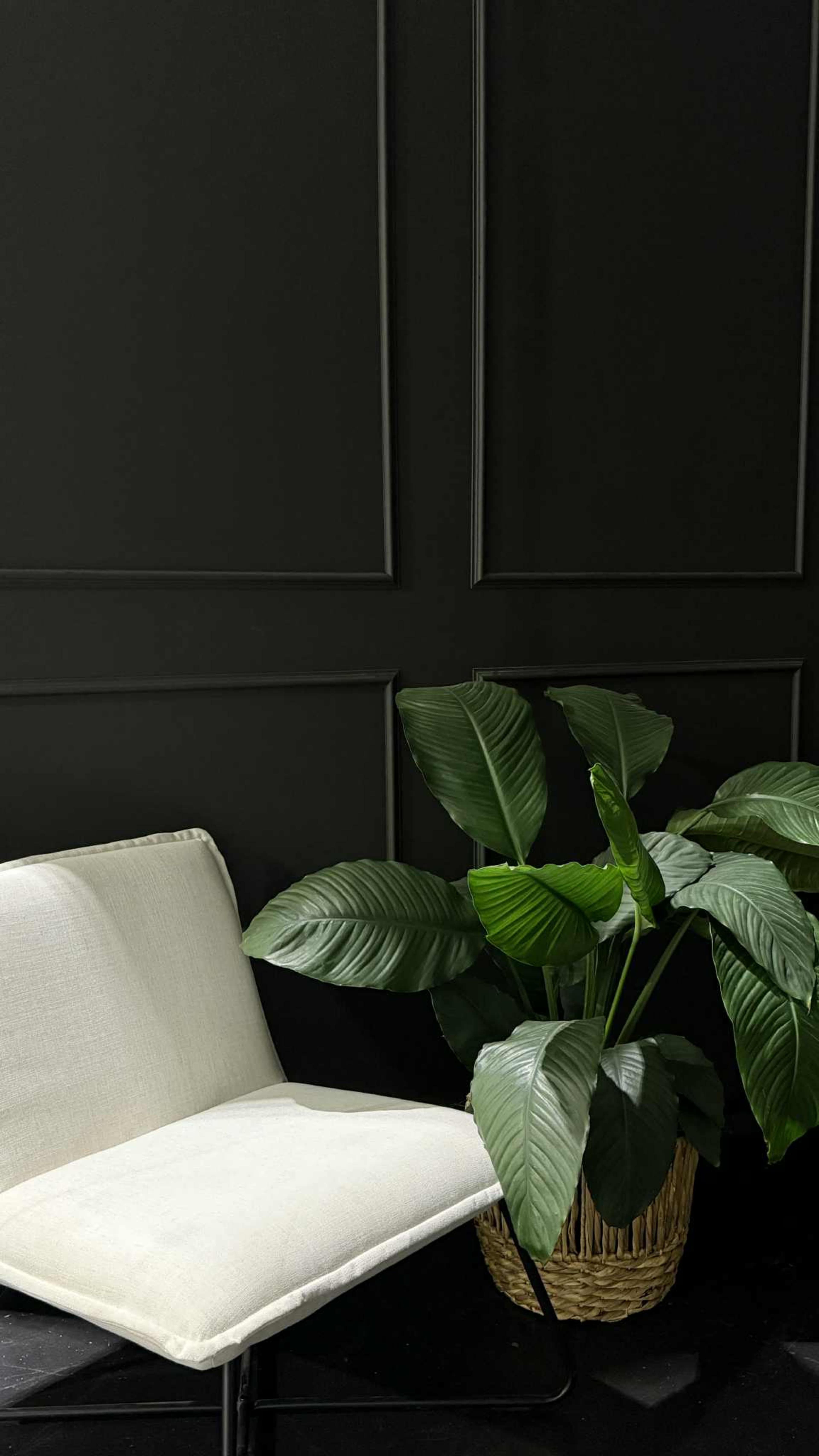 Flexible Warehouse Studio Image in Clayton South, Clayton South, VIC