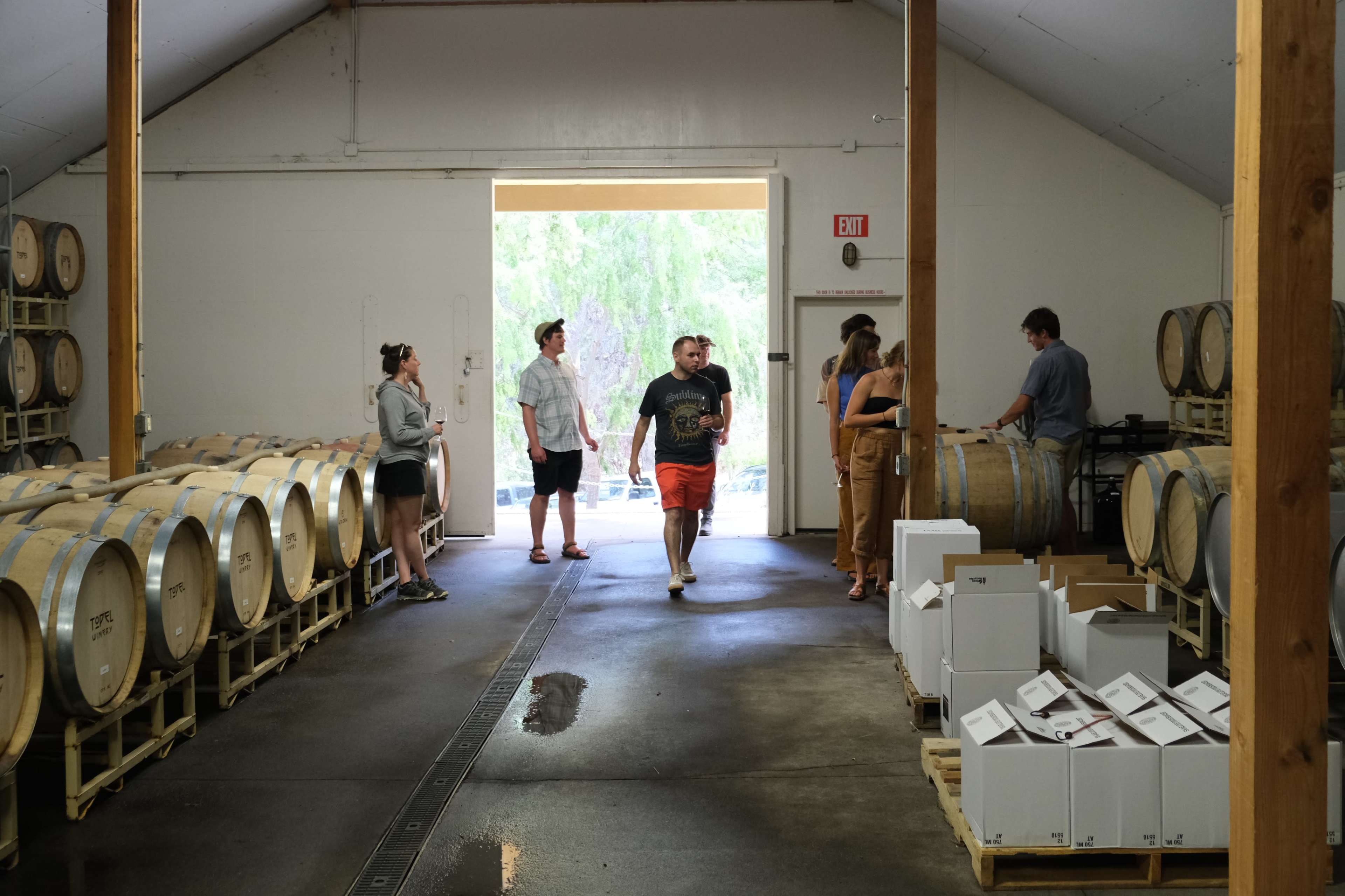 Private Vineyard Retreat, Stunning views: On-Site Wine Tasting Image in , Hopland, CA