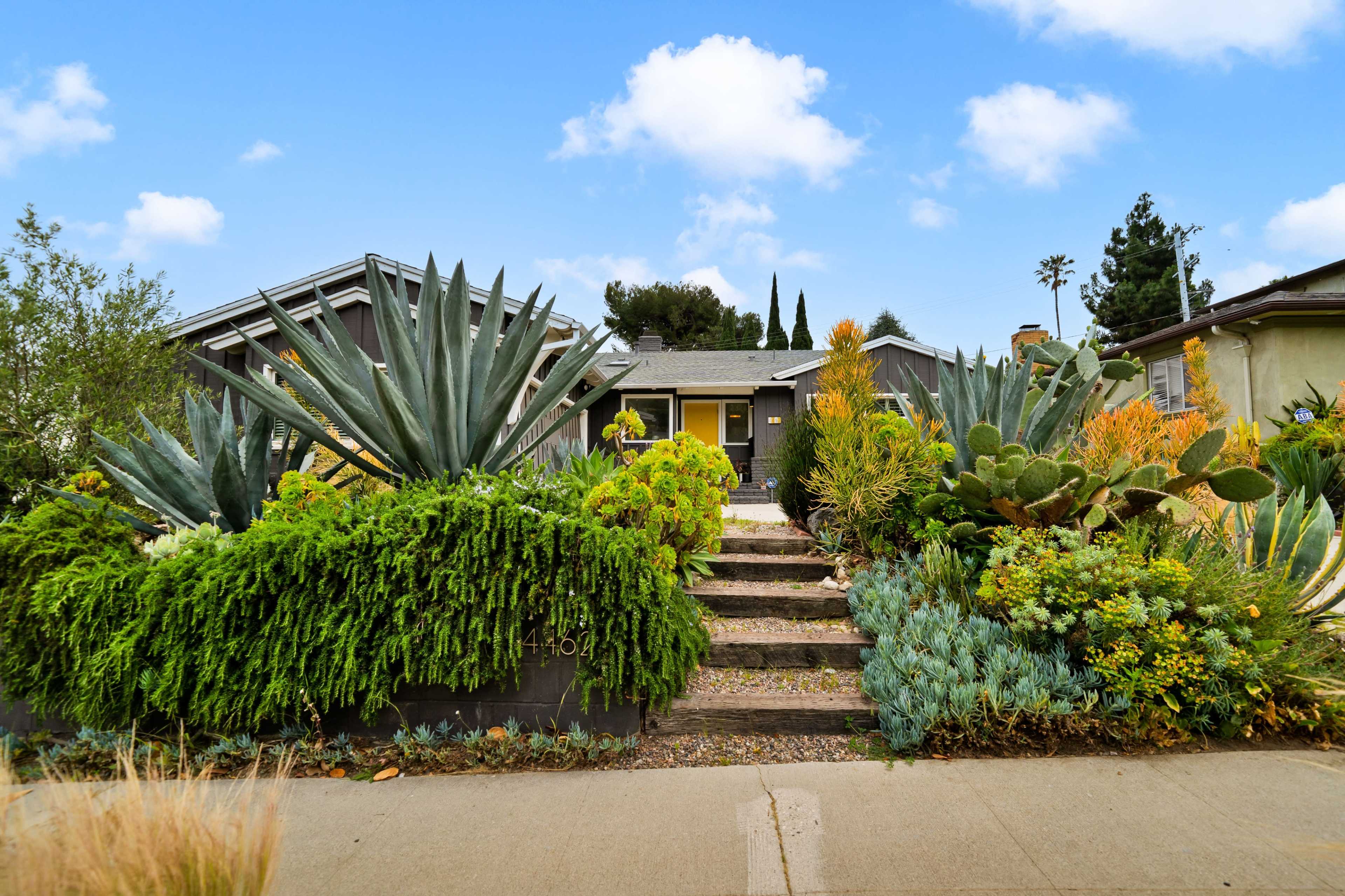 A modern house is framed by a variety of green plants and succulents along the stairs leading to the entrance.
