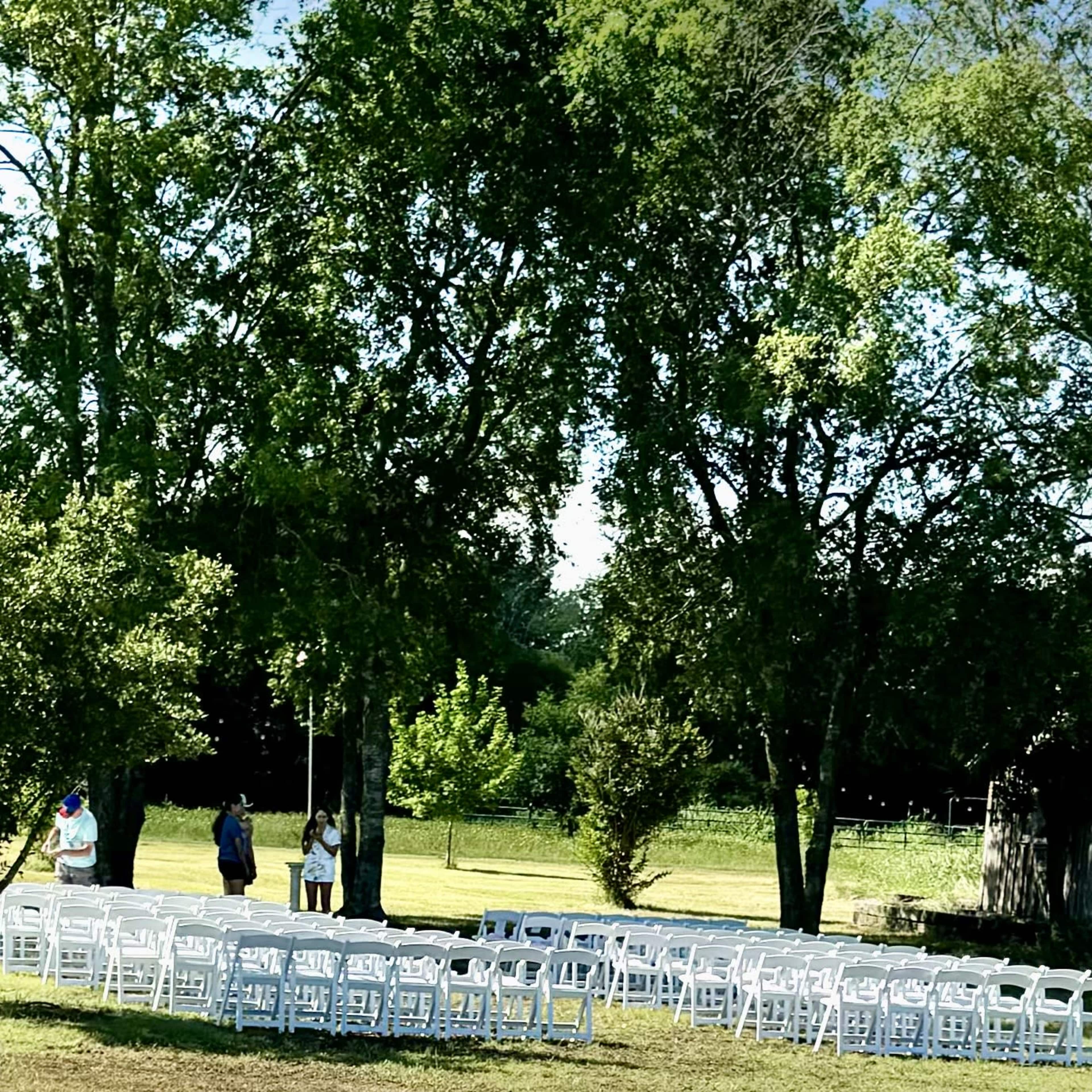 A group of people stand among white chairs arranged in an outdoor setting under large trees.