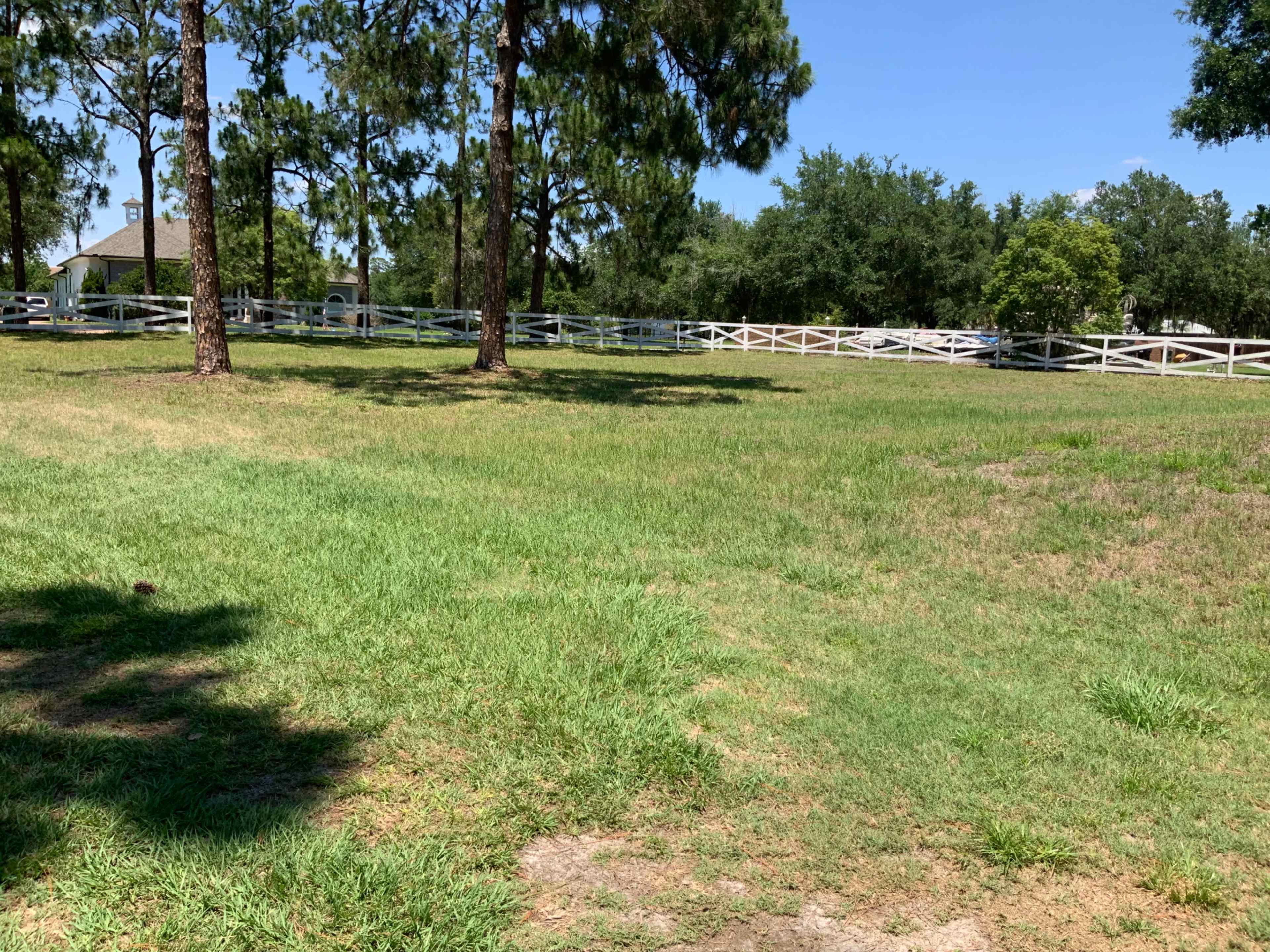 The image shows a grassy area with a few trees and a white fence in the background under a clear blue sky.
