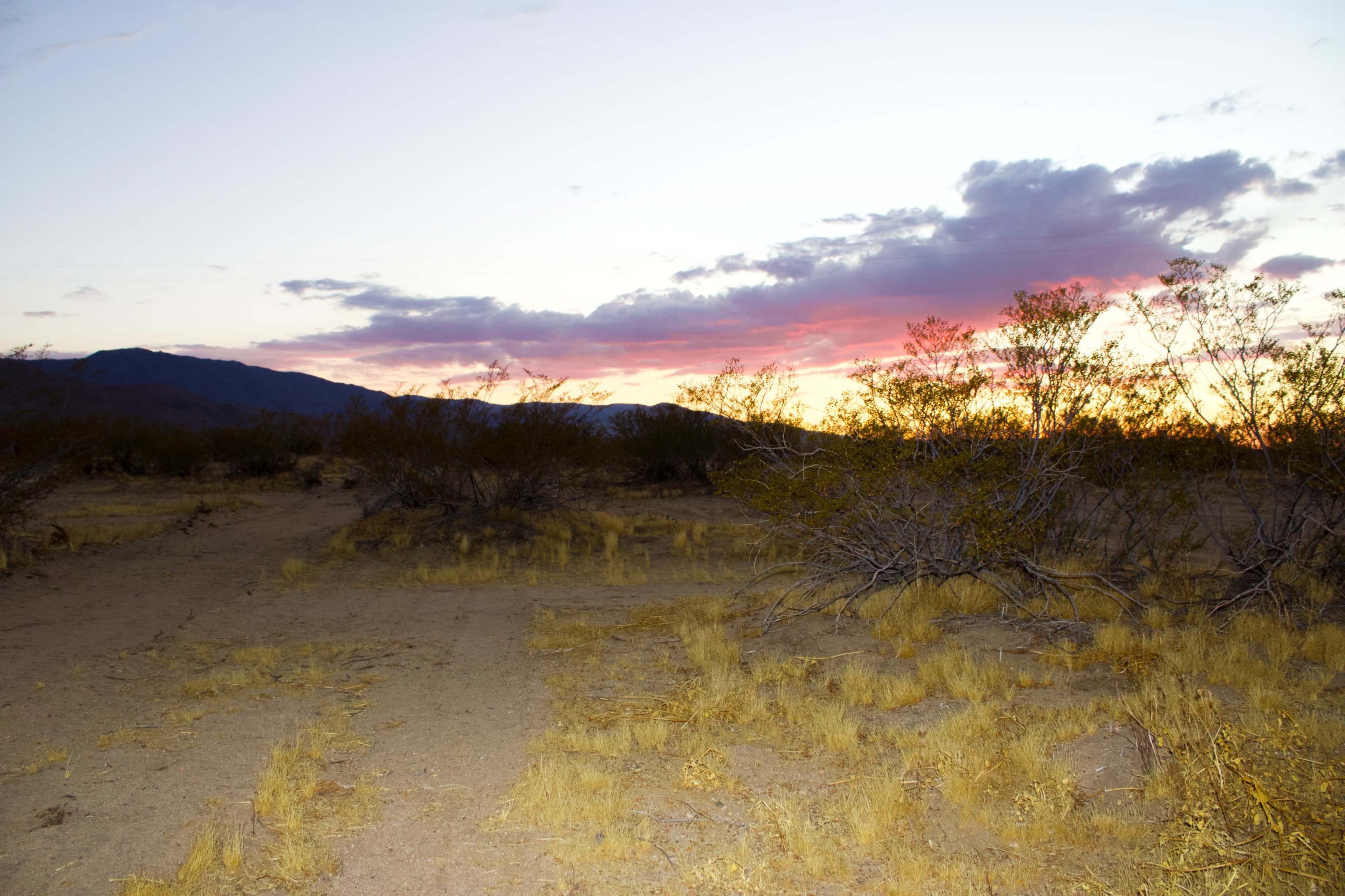 Desert Ranch with Mountain Views Image in , Johnson Valley, CA
