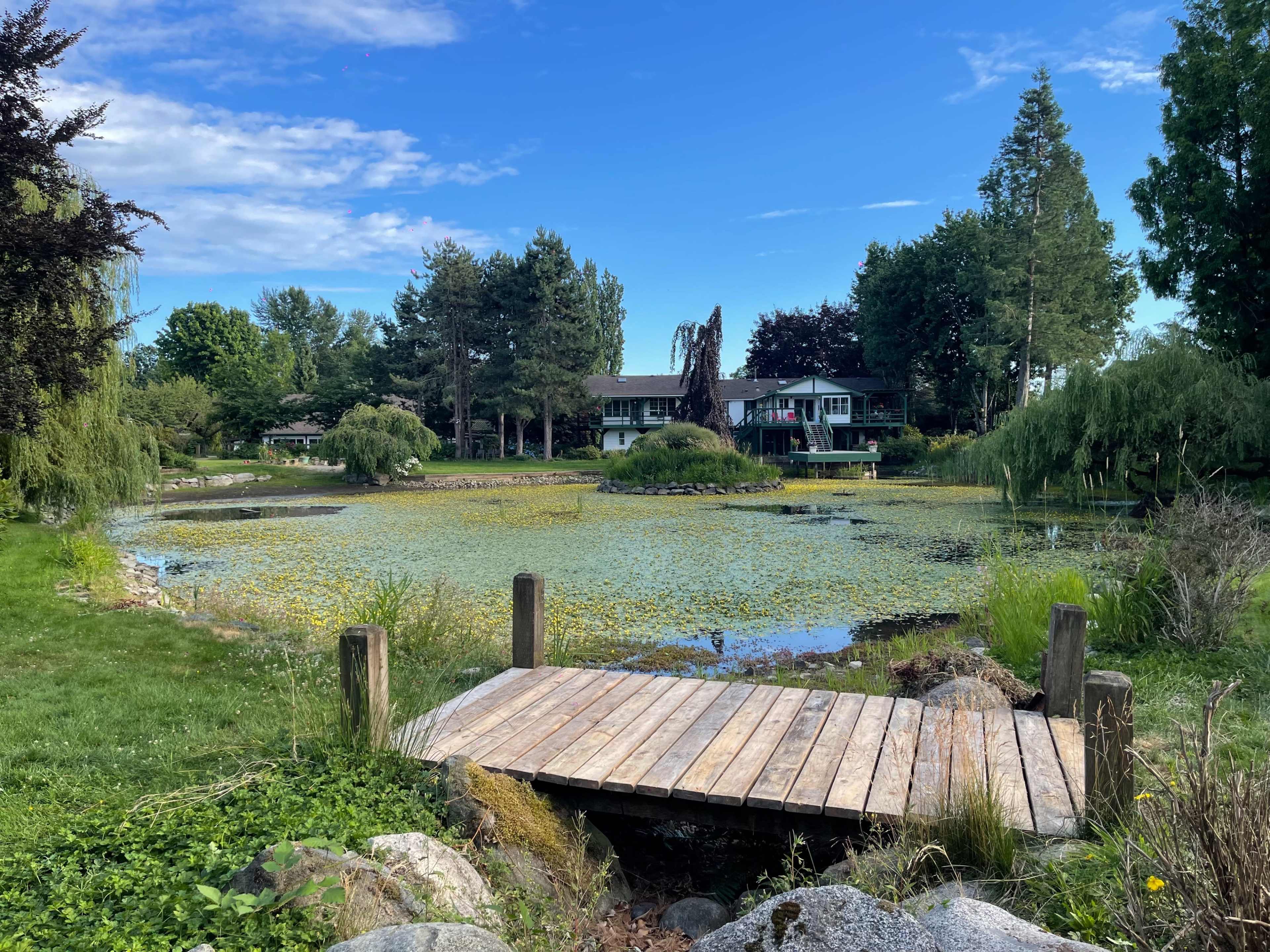 Serene Private Garden & Pond Oasis with Rustic Charm Image in Langley, Aldergrove, BC