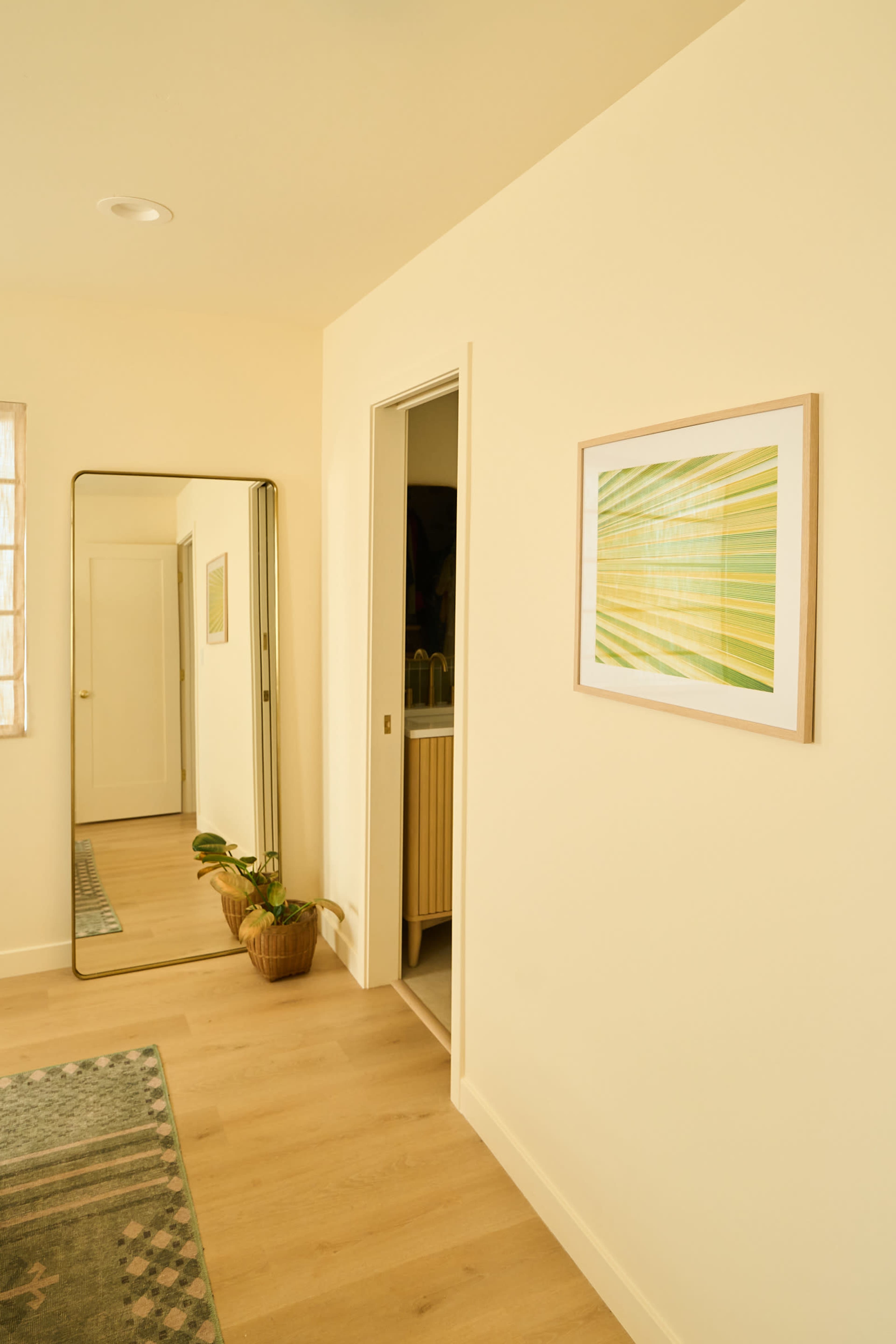 The image shows an interior room with a mirror, a door leading to another space, a wall-mounted artwork, and a potted plant.