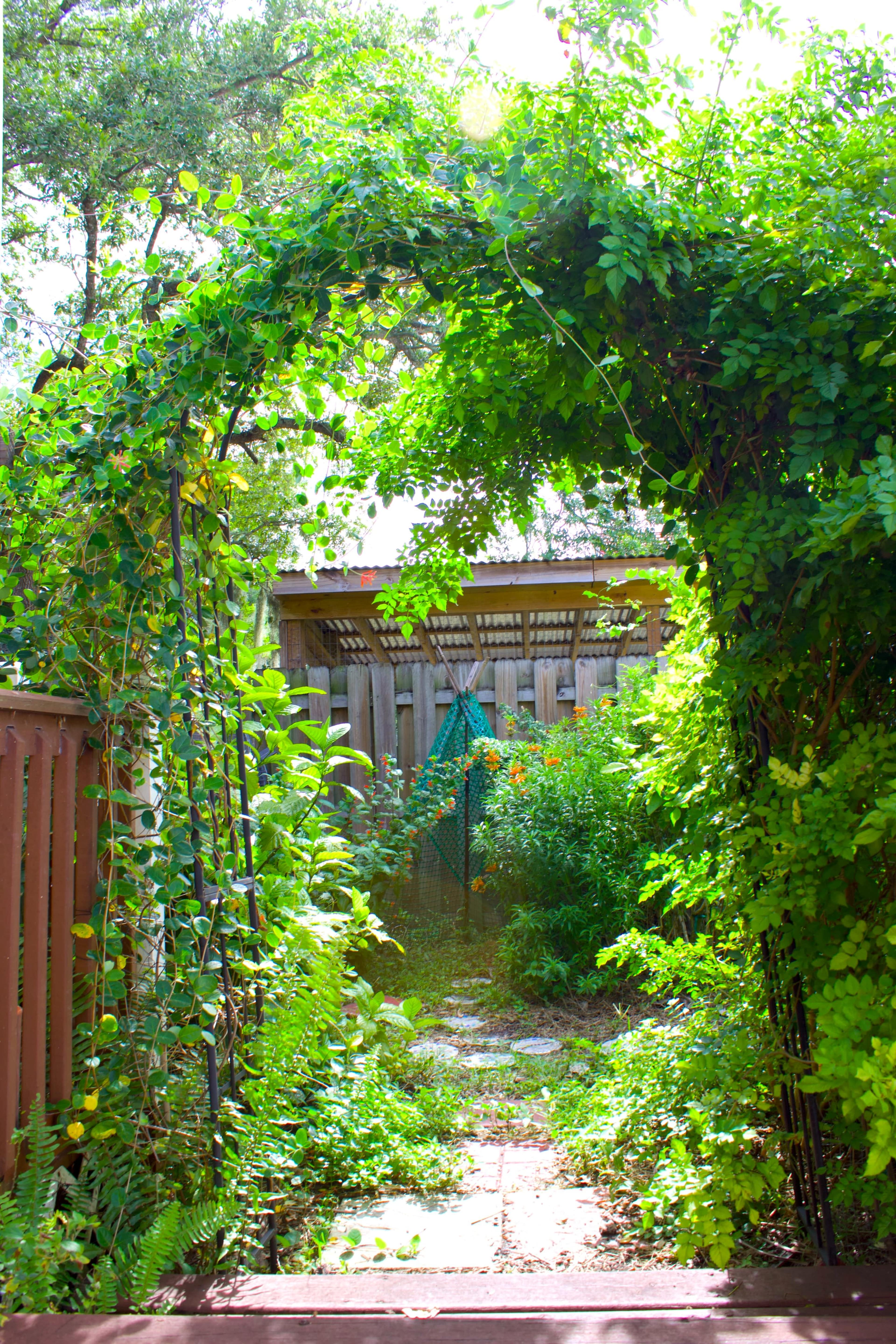 A verdant archway of climbing plants frames a stone pathway leading to a garden with a wooden fence and a shed in the background.