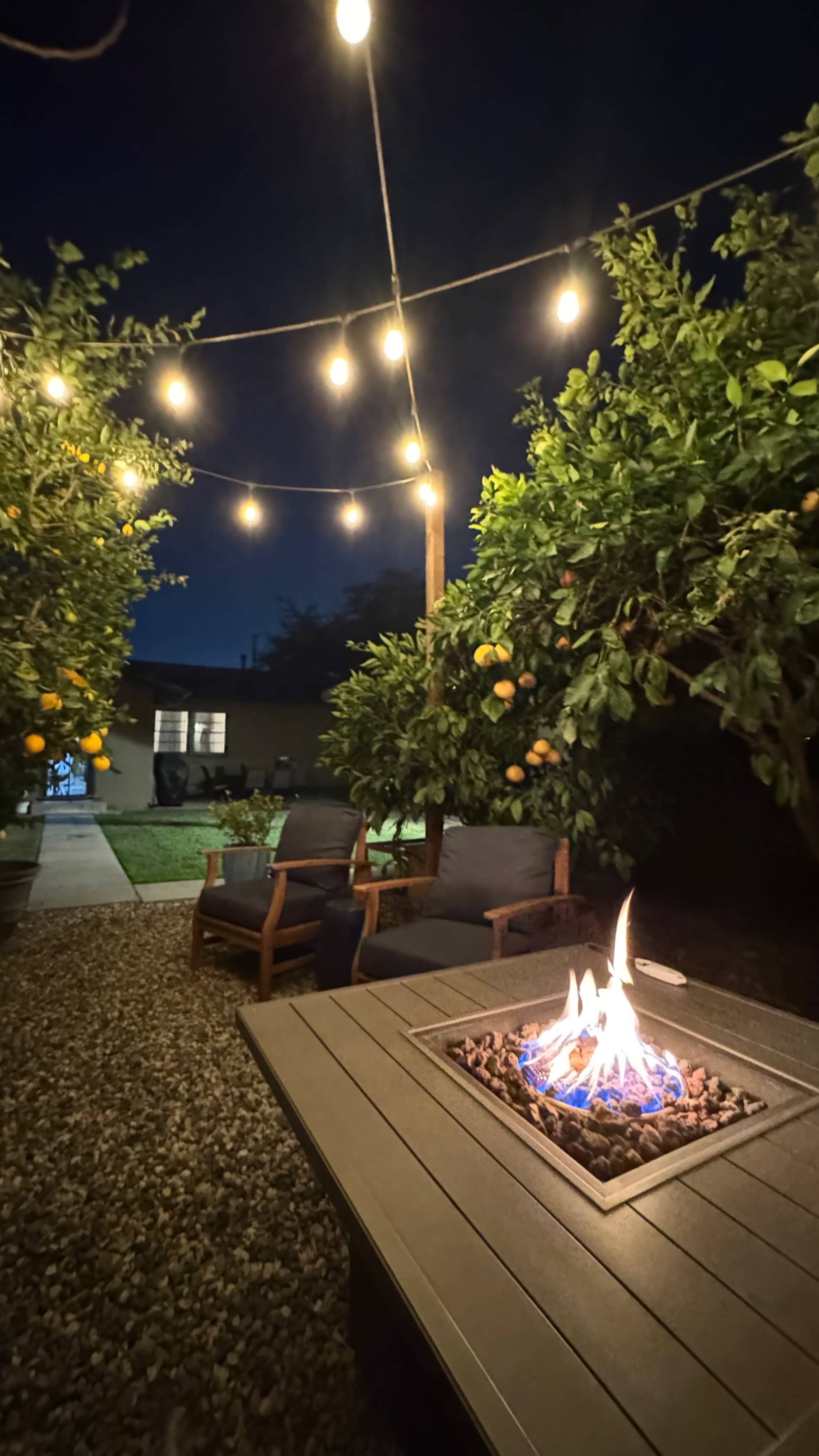 A cozy backyard features a fire pit surrounded by lounge chairs, with string lights illuminating citrus trees at night.