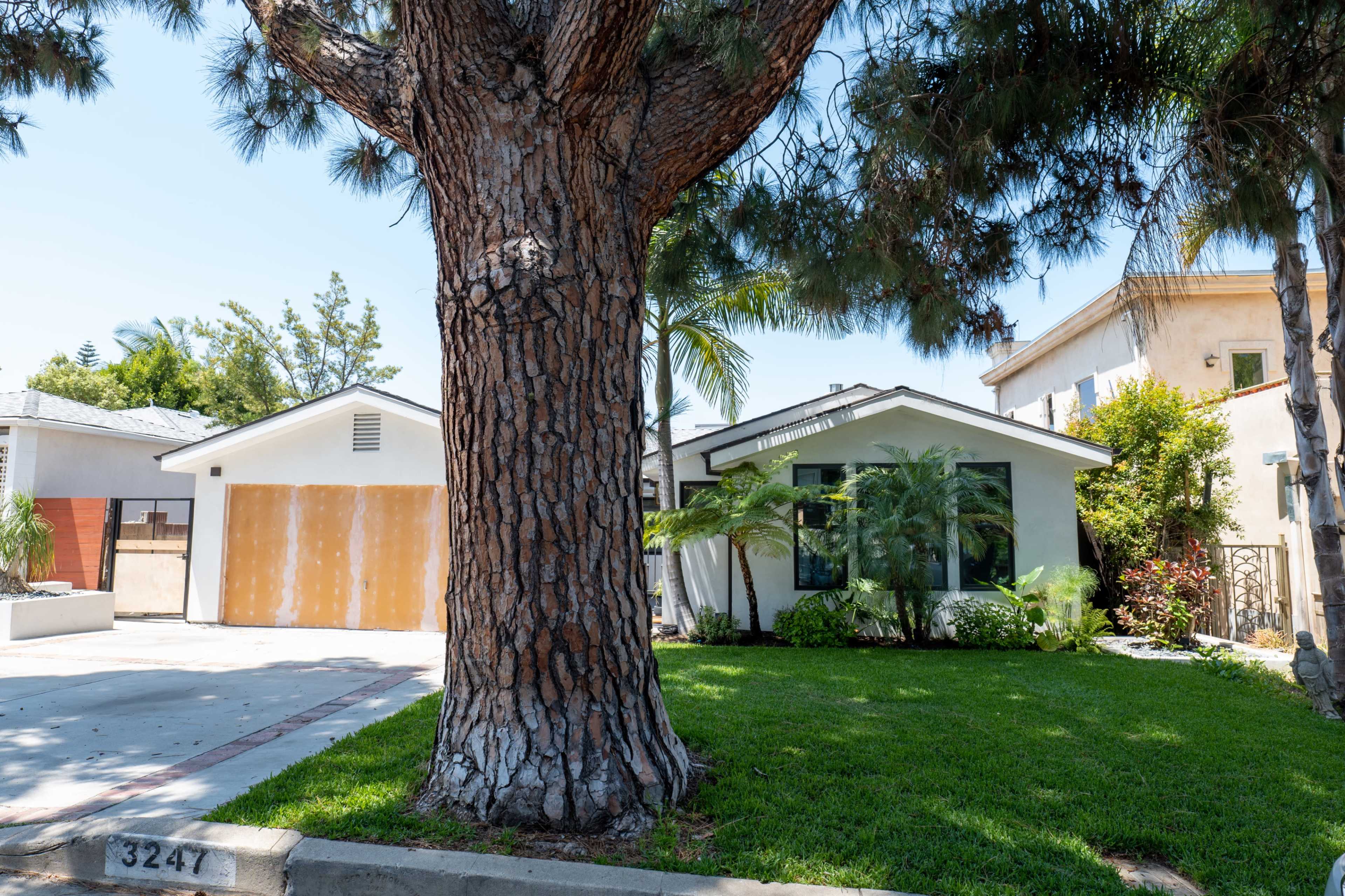 A large tree stands in front of a house with a garage, both surrounded by well-maintained lawns and landscaping.