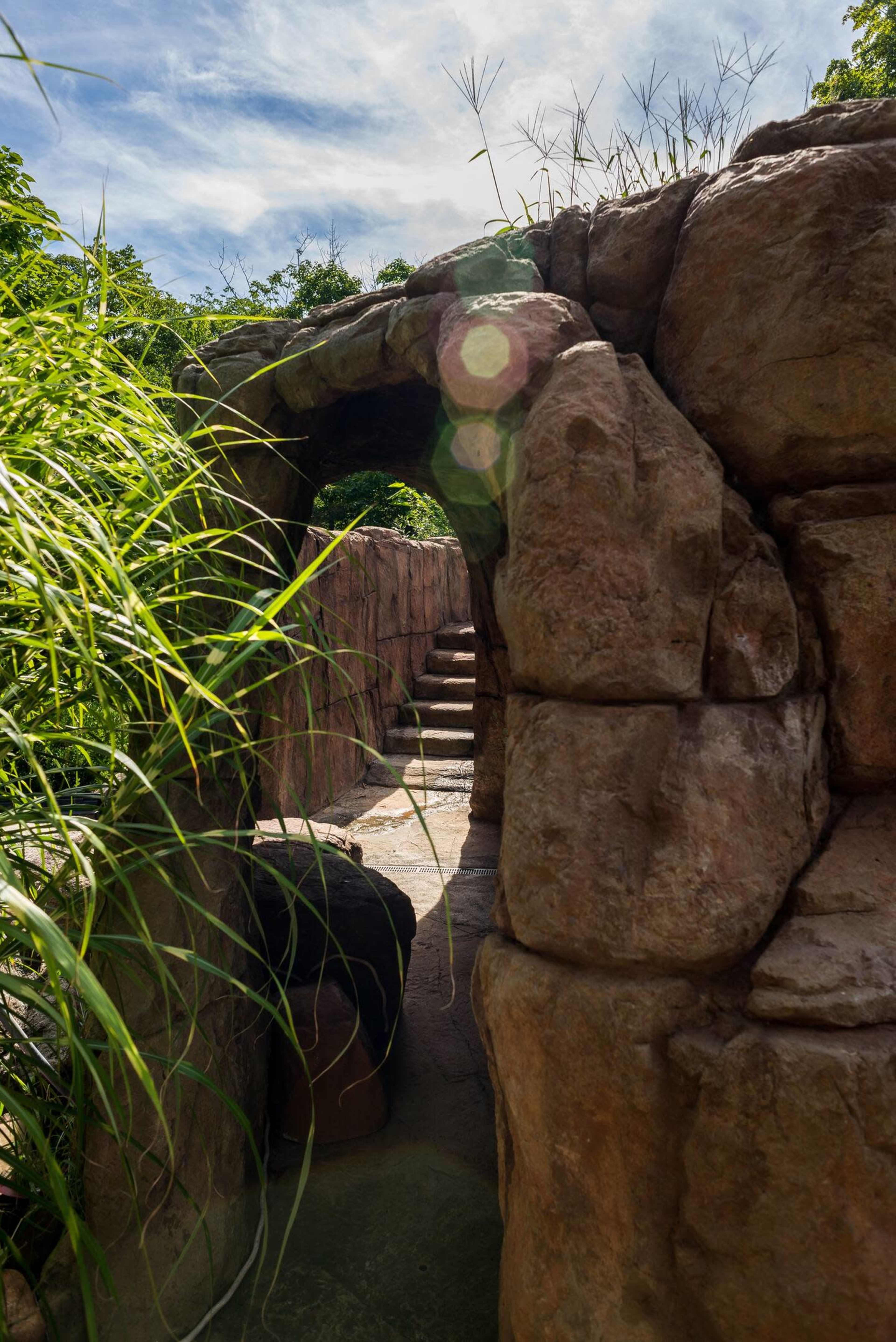 A stone archway leading to a set of steps surrounded by lush greenery.