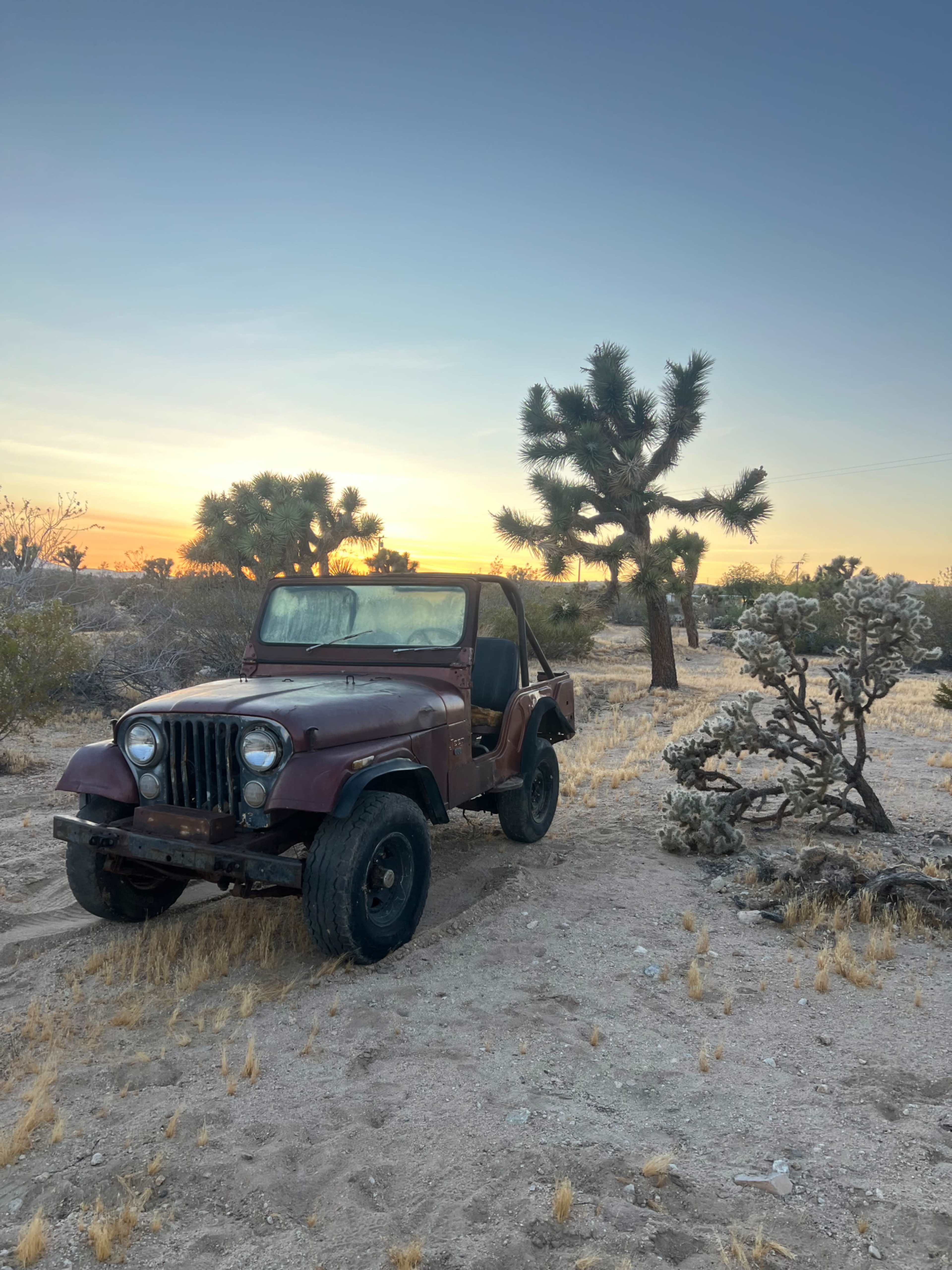 A vintage Jeep sits on a sandy landscape with Joshua trees against a colorful sunset.