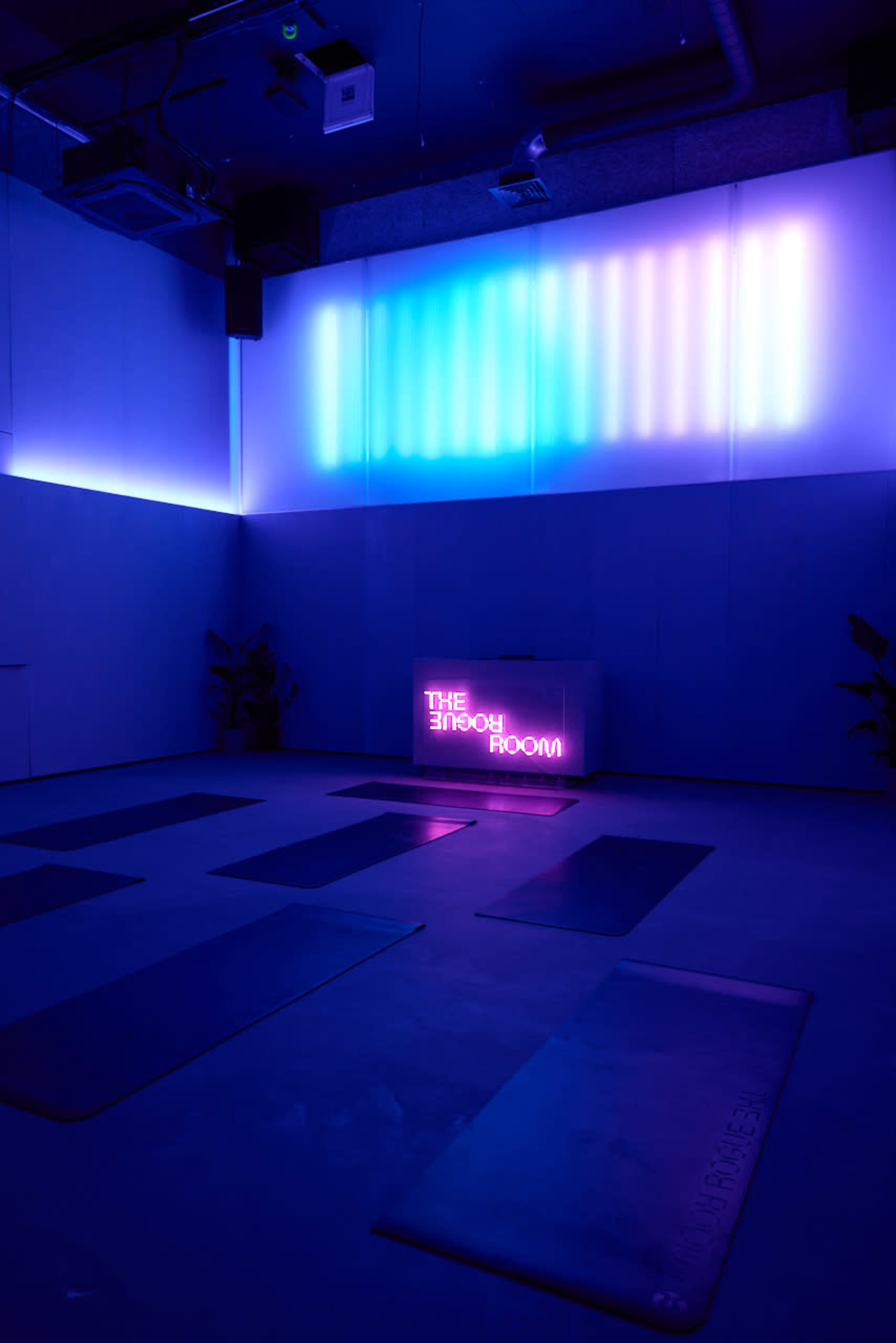 The image shows a dimly lit yoga studio with blue and purple ambient lighting and several yoga mats arranged on the floor.