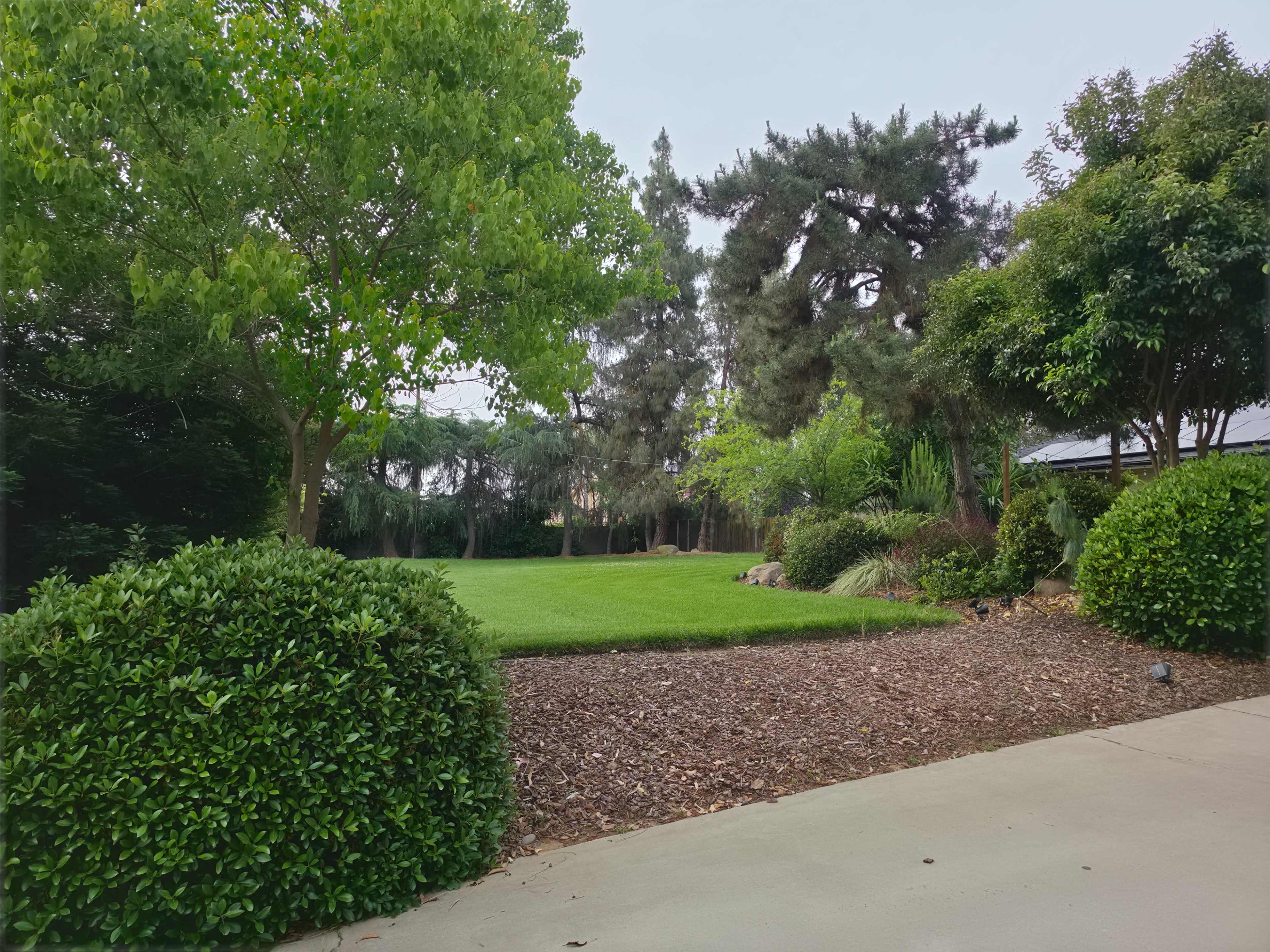 A well-maintained garden features a lush green lawn surrounded by various trees and shrubs.