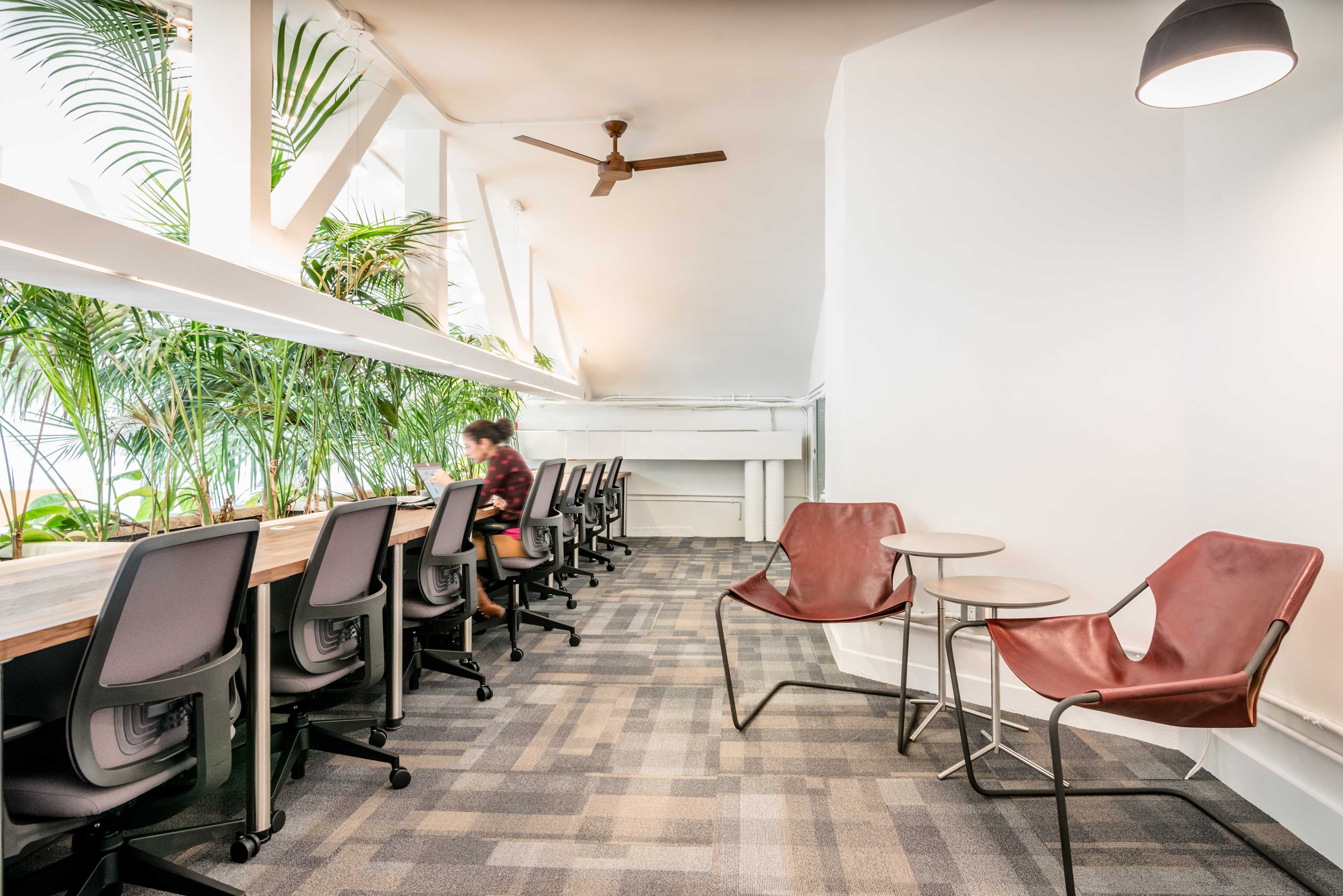A modern office space with a row of workstations along a window, surrounded by greenery, and featuring minimalistic seating areas.