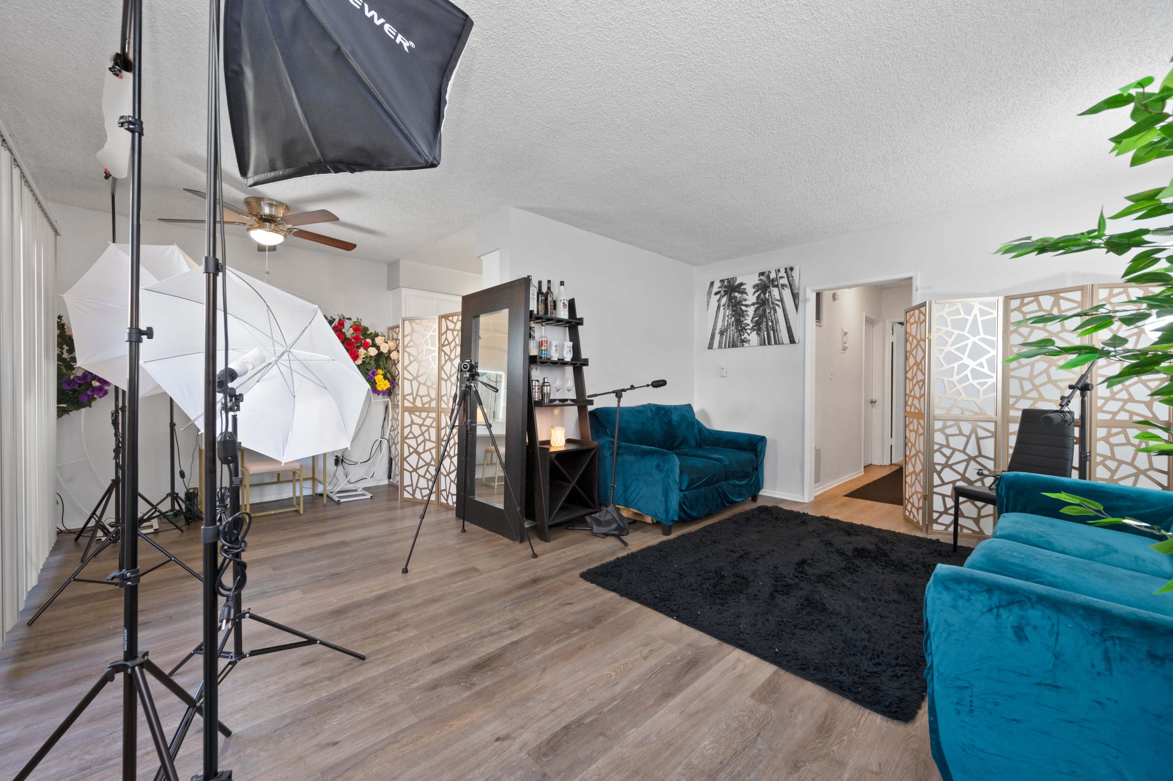 The image shows a living room space with turquoise sofas, a black rug, and photography equipment set up near a partitioned area with decorative screens.