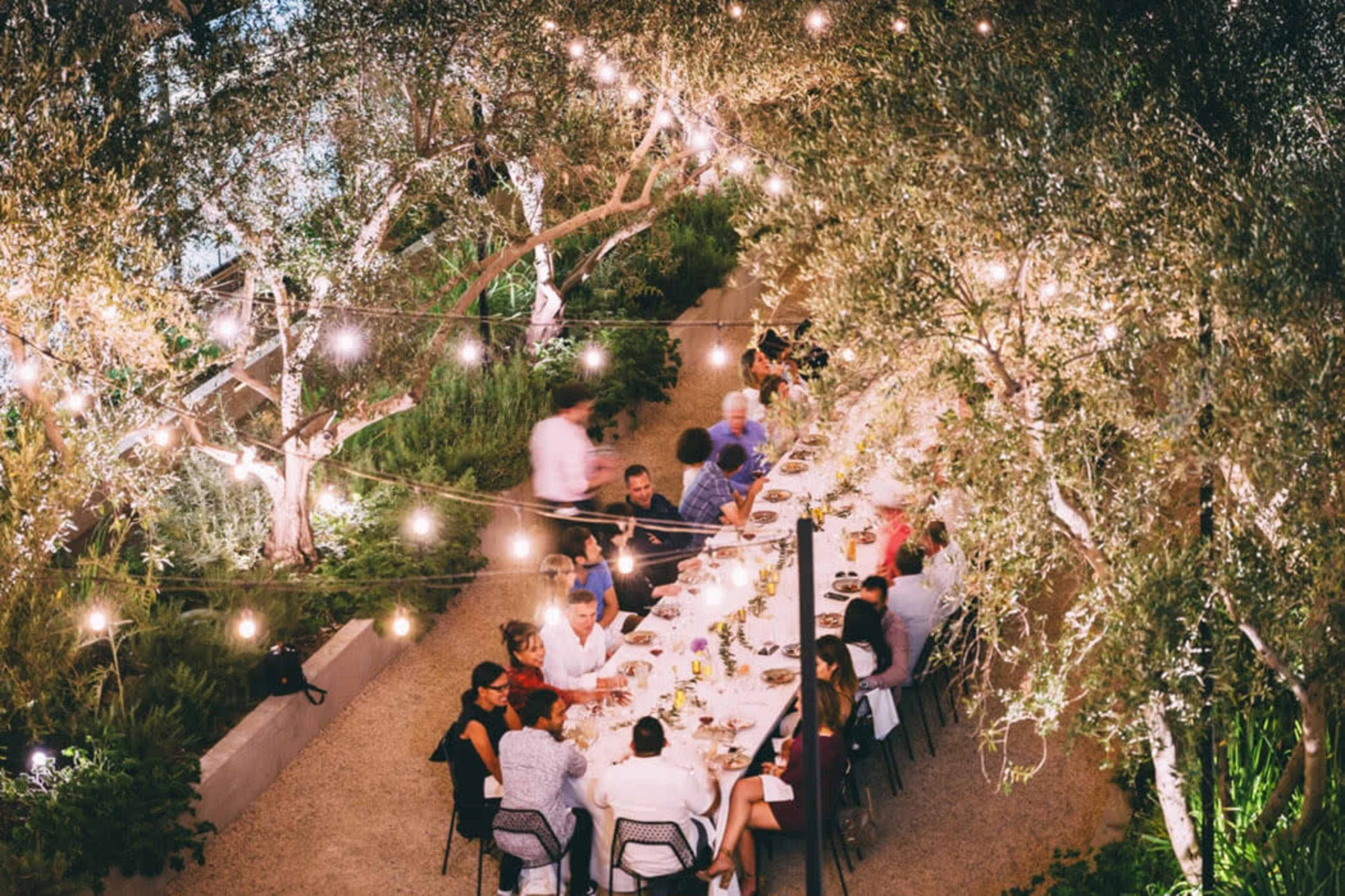 A long table is set for a dinner party under string lights amidst olive trees in a garden.