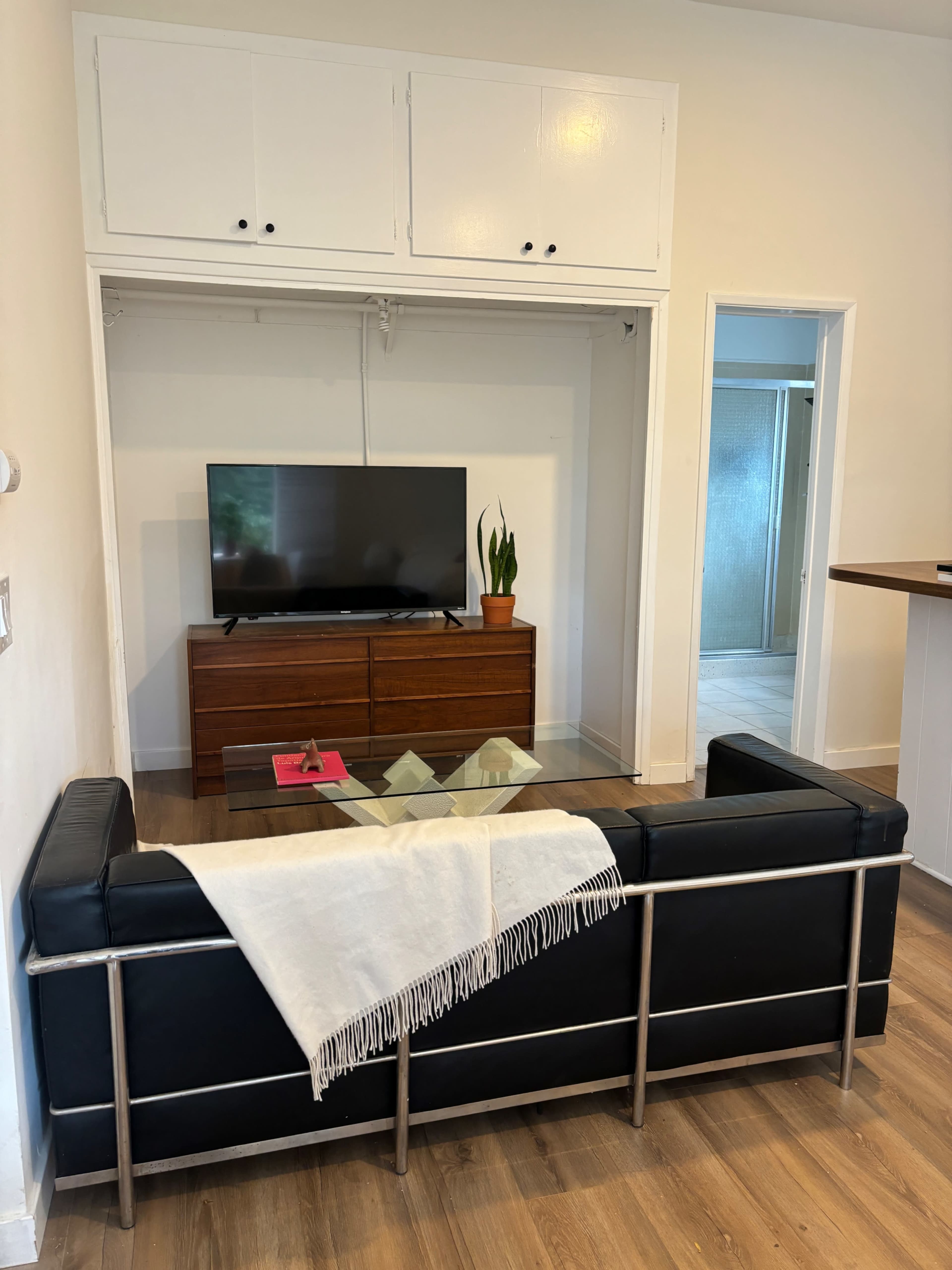 A black sofa with a throw blanket faces a glass coffee table, in front of a television and a wooden cabinet, with a plant nearby and a doorway leading to a bathroom visible in the background.