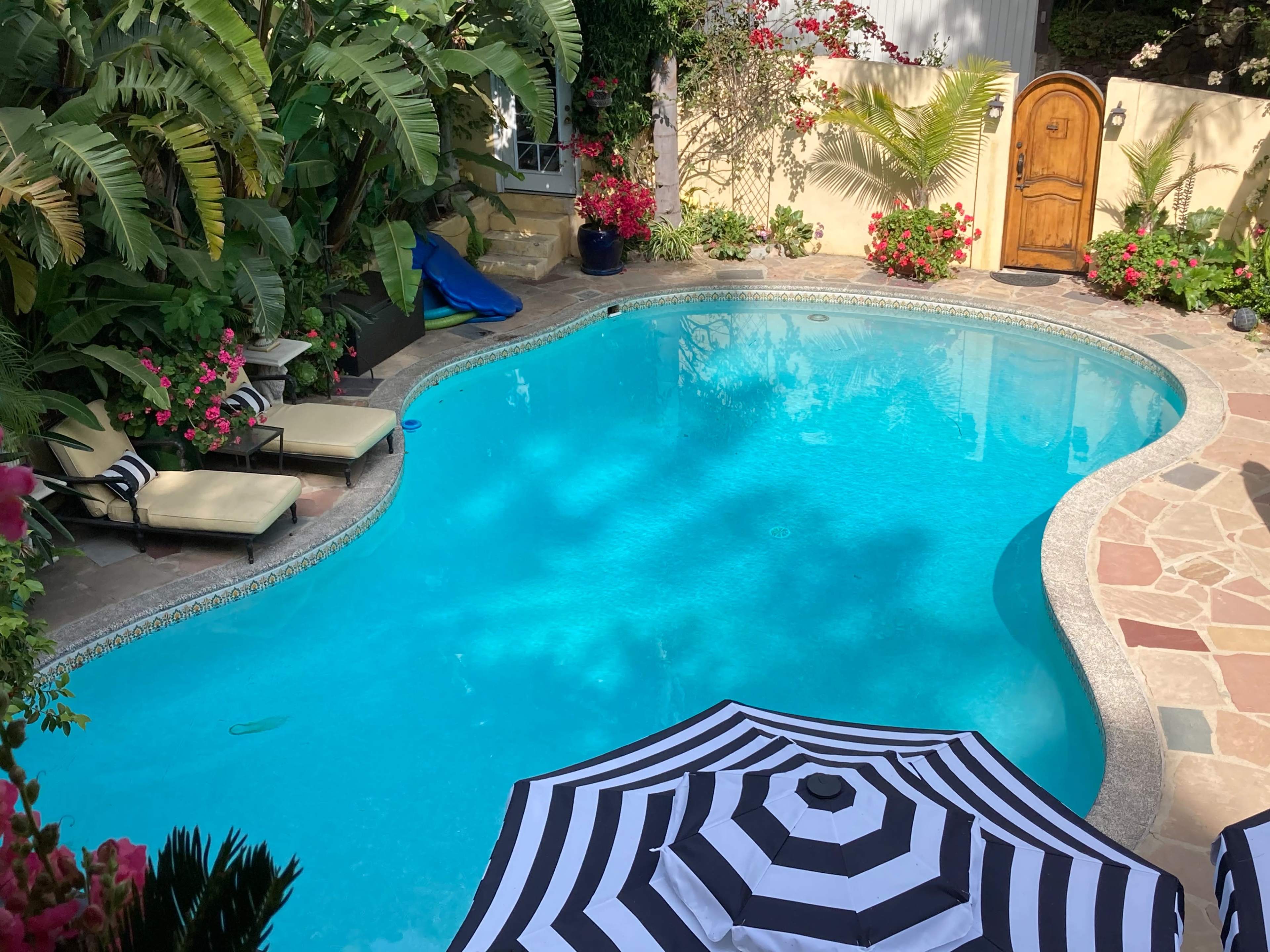 The image shows a swimming pool surrounded by lush greenery and blooming flowers, with lounge chairs and a large striped umbrella nearby.