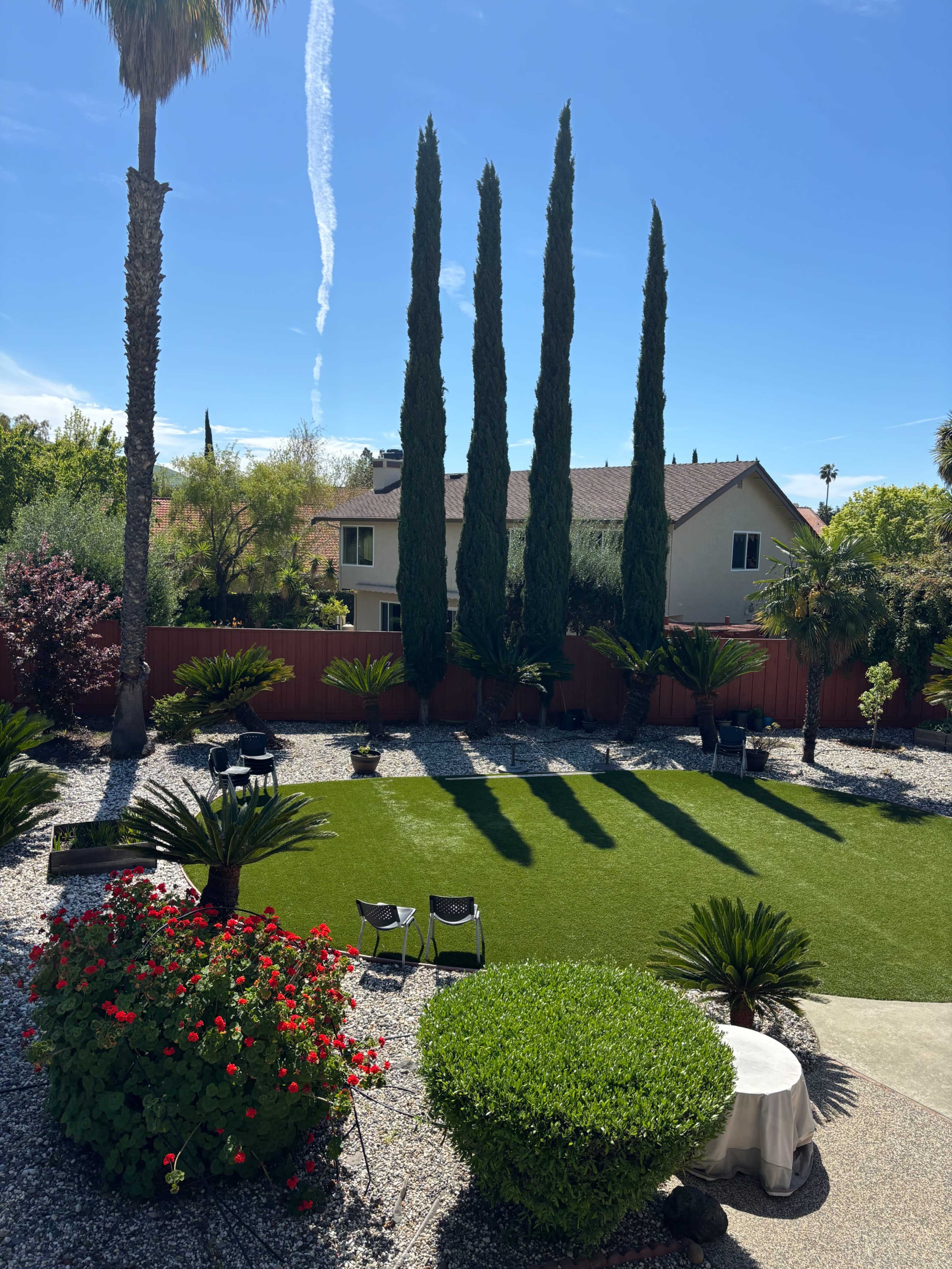 18000 sq ft backyard in a orchard setting  with a rooftop Image in Weibel, FREMONT, CA
