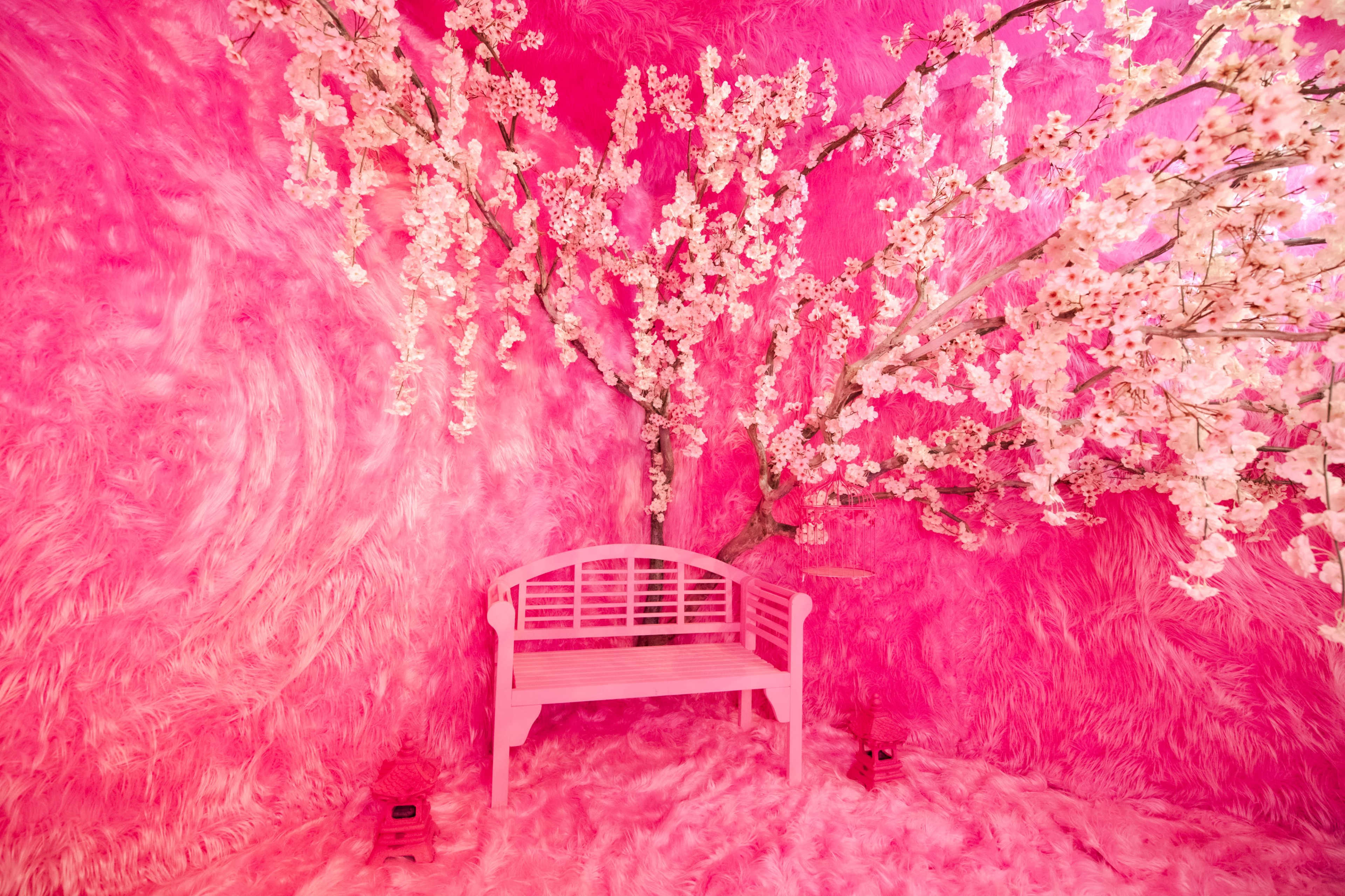 A pink-themed room features a pink bench beneath a flowering tree with decorative blossoms.