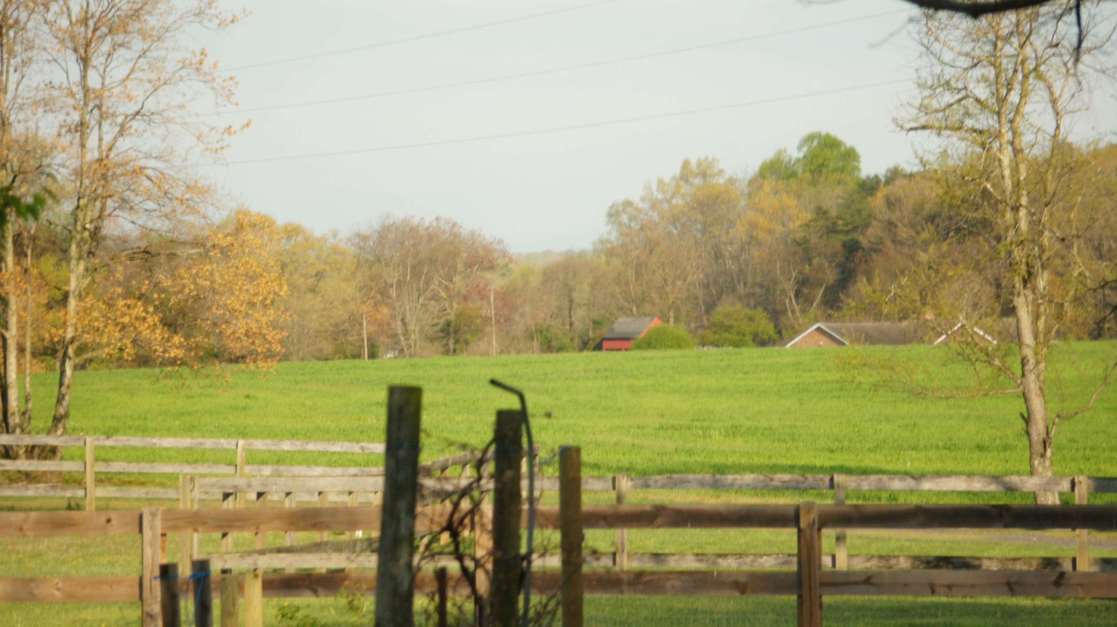 A green pasture bordered by wooden fences features a few trees in autumn colors and distant farm buildings.
