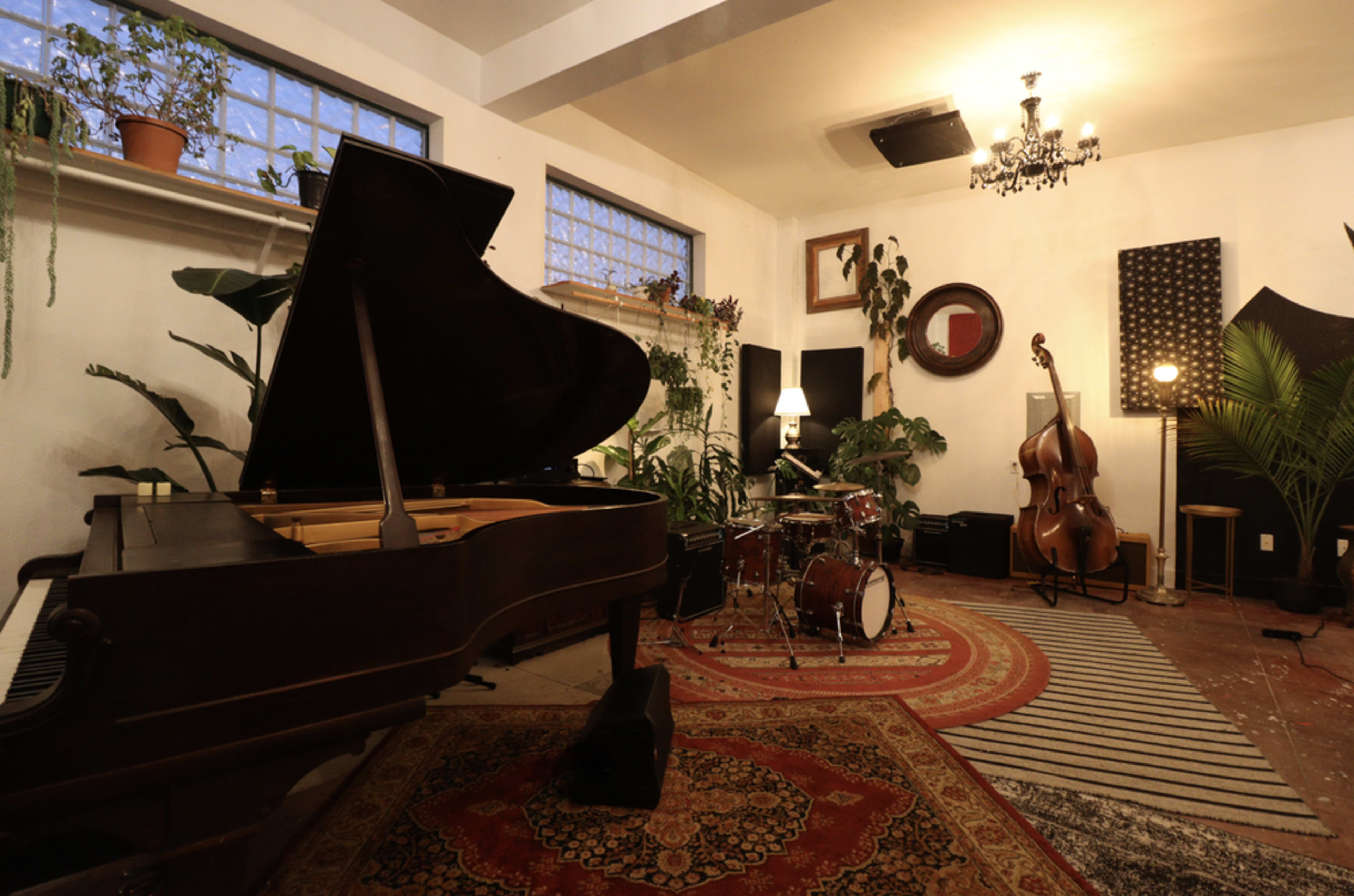 The room features a grand piano, a drum set, a double bass, and lush plants, all arranged around a central area on a patterned rug.
