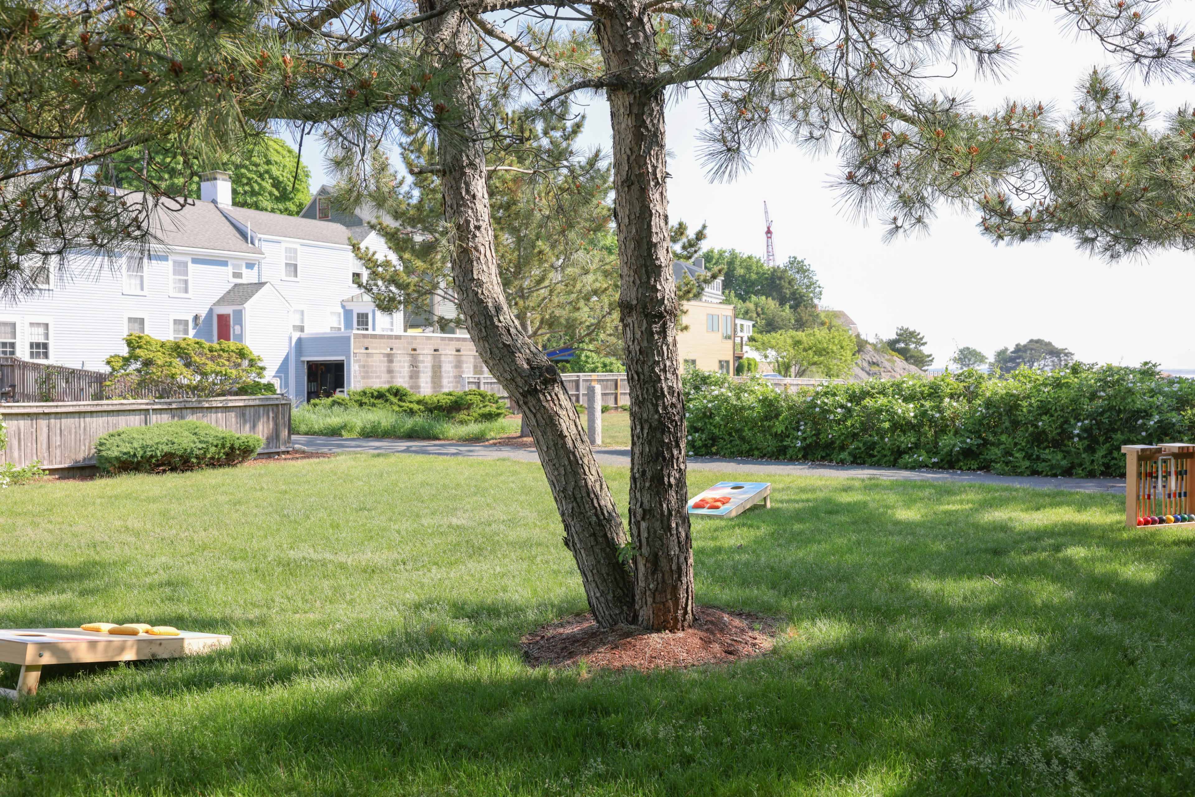 The scene shows a grassy yard with a tree in the foreground, bordered by houses and a distant view of the water.