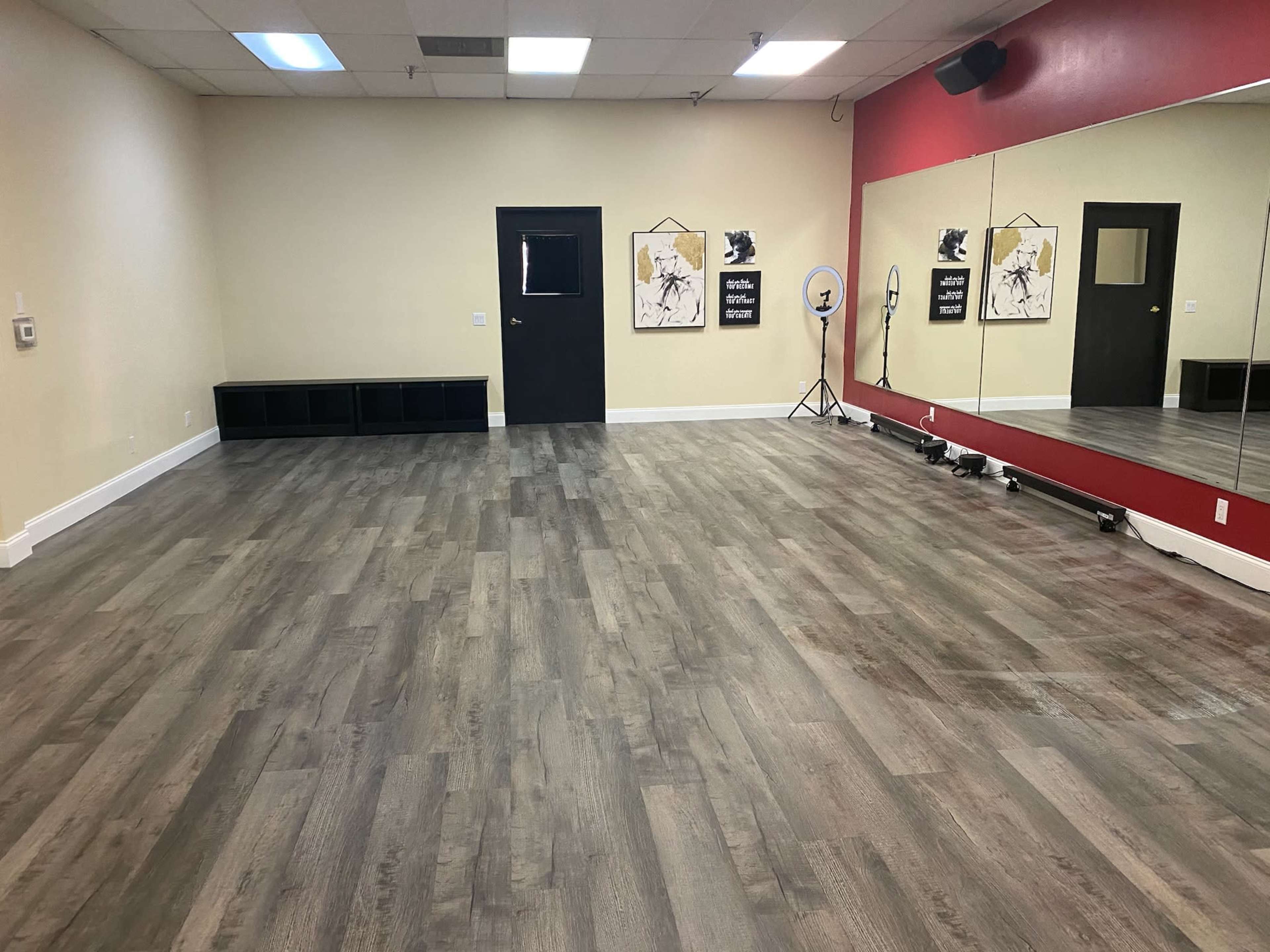The image shows an empty room with gray wood flooring, a black door, a large mirror along one wall, and minimal decor, including a couple of framed artworks and a lighting setup.