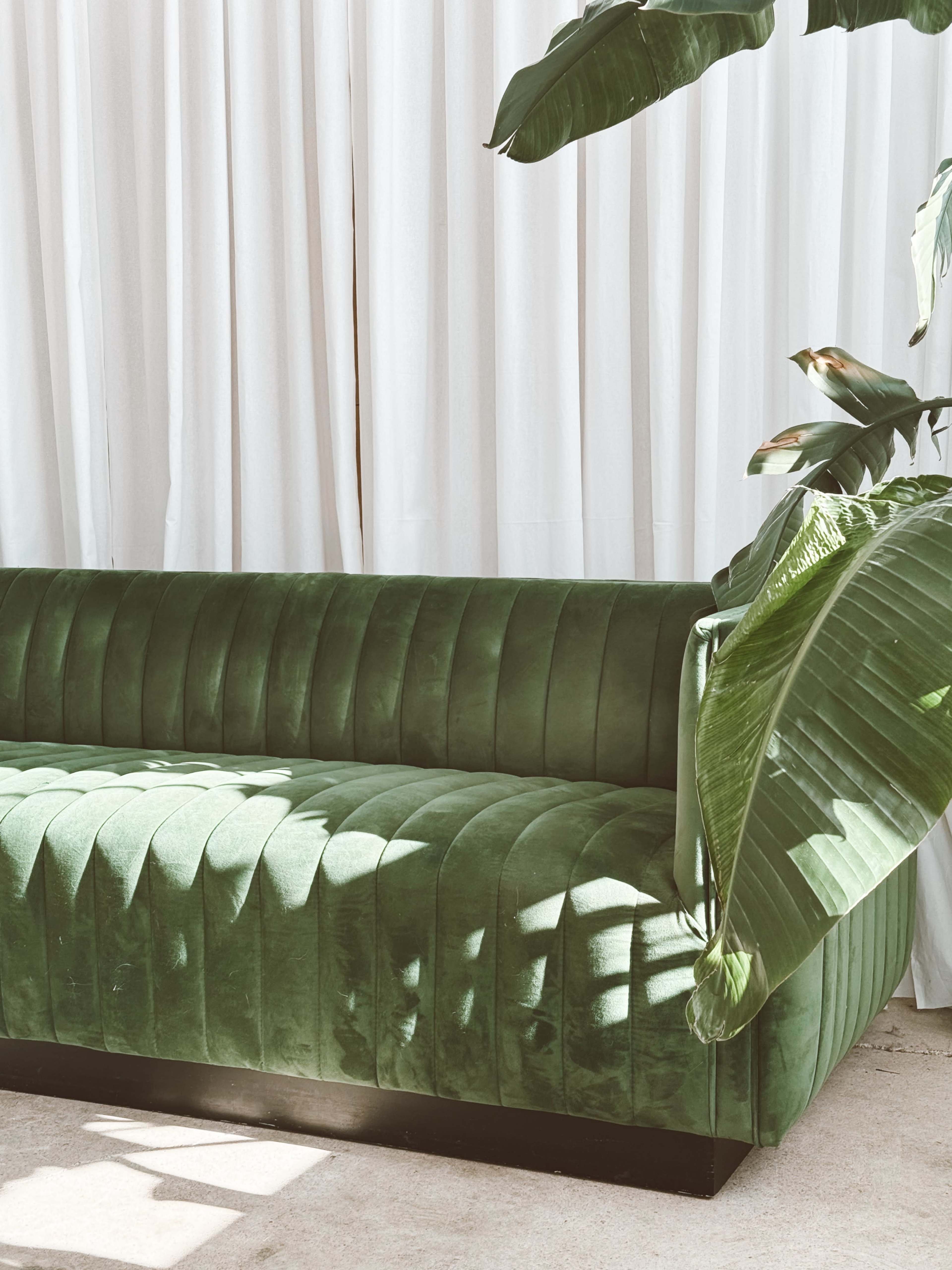 A green velvet couch with channel stitching is positioned adjacent to a large potted plant and a backdrop of white drapes.