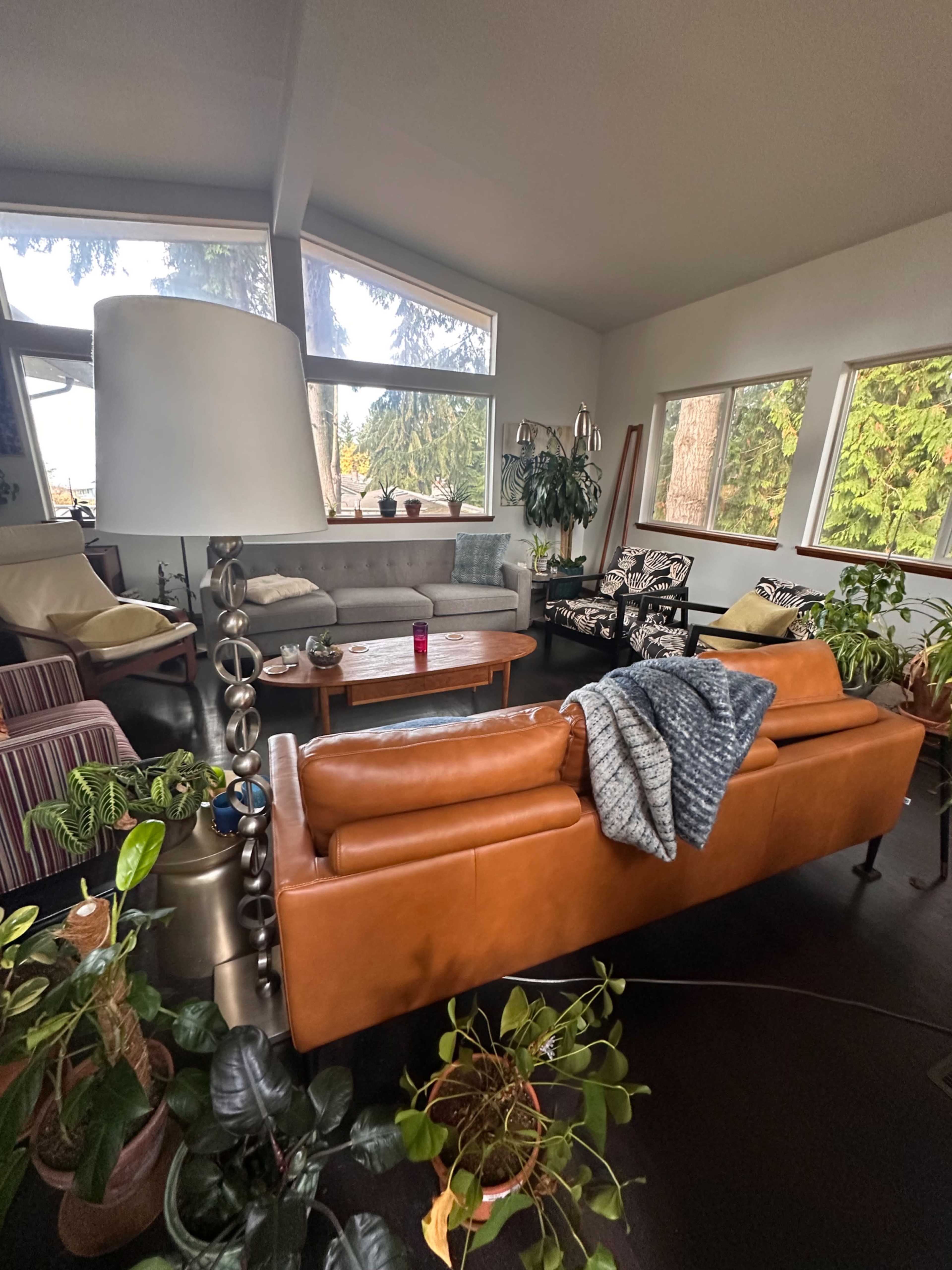 A cozy living room features a combination of seating arrangements, large windows allowing natural light, and various indoor plants.