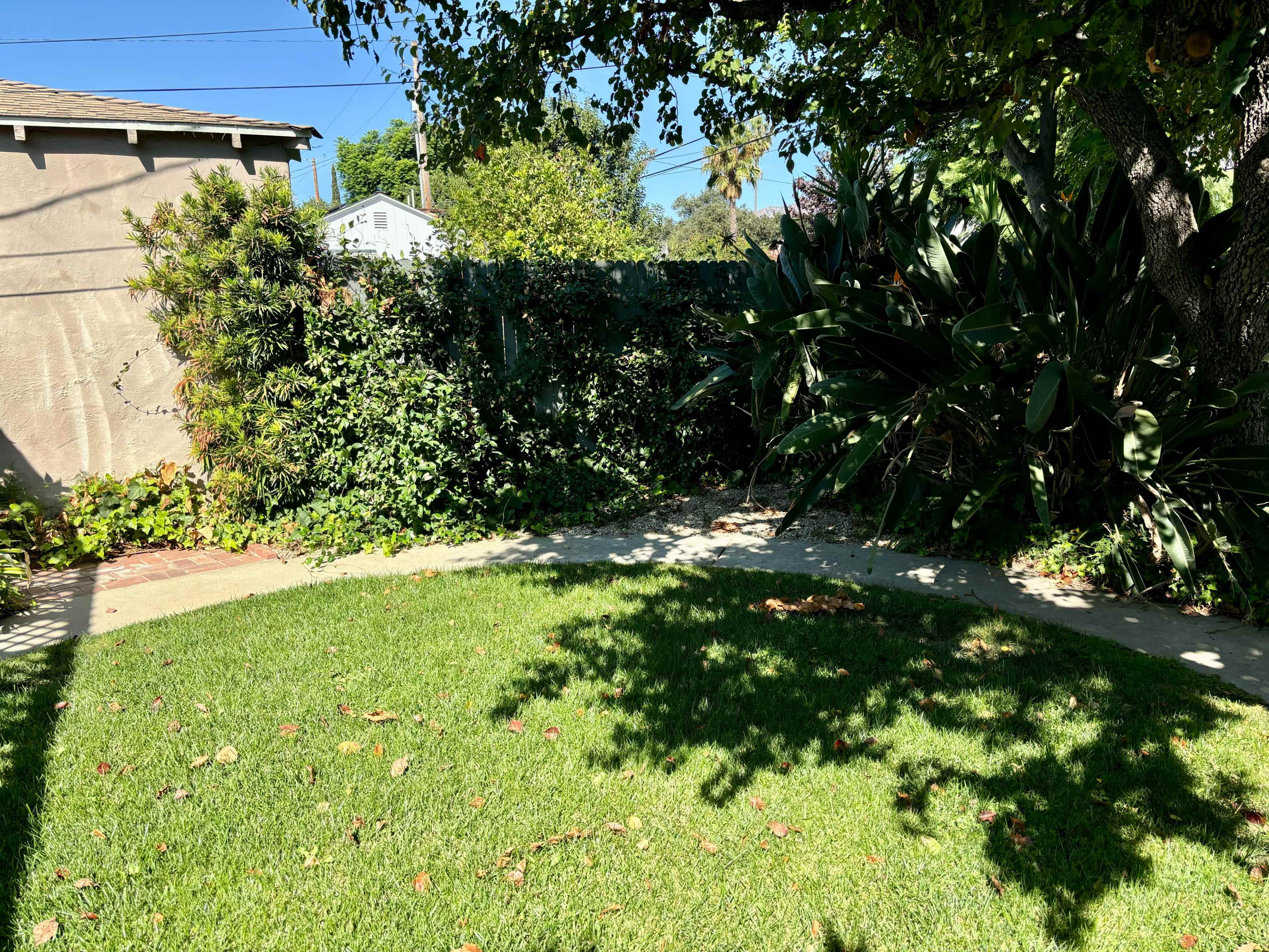 A section of a yard features a curved pathway surrounded by green grass and various shrubs and trees.