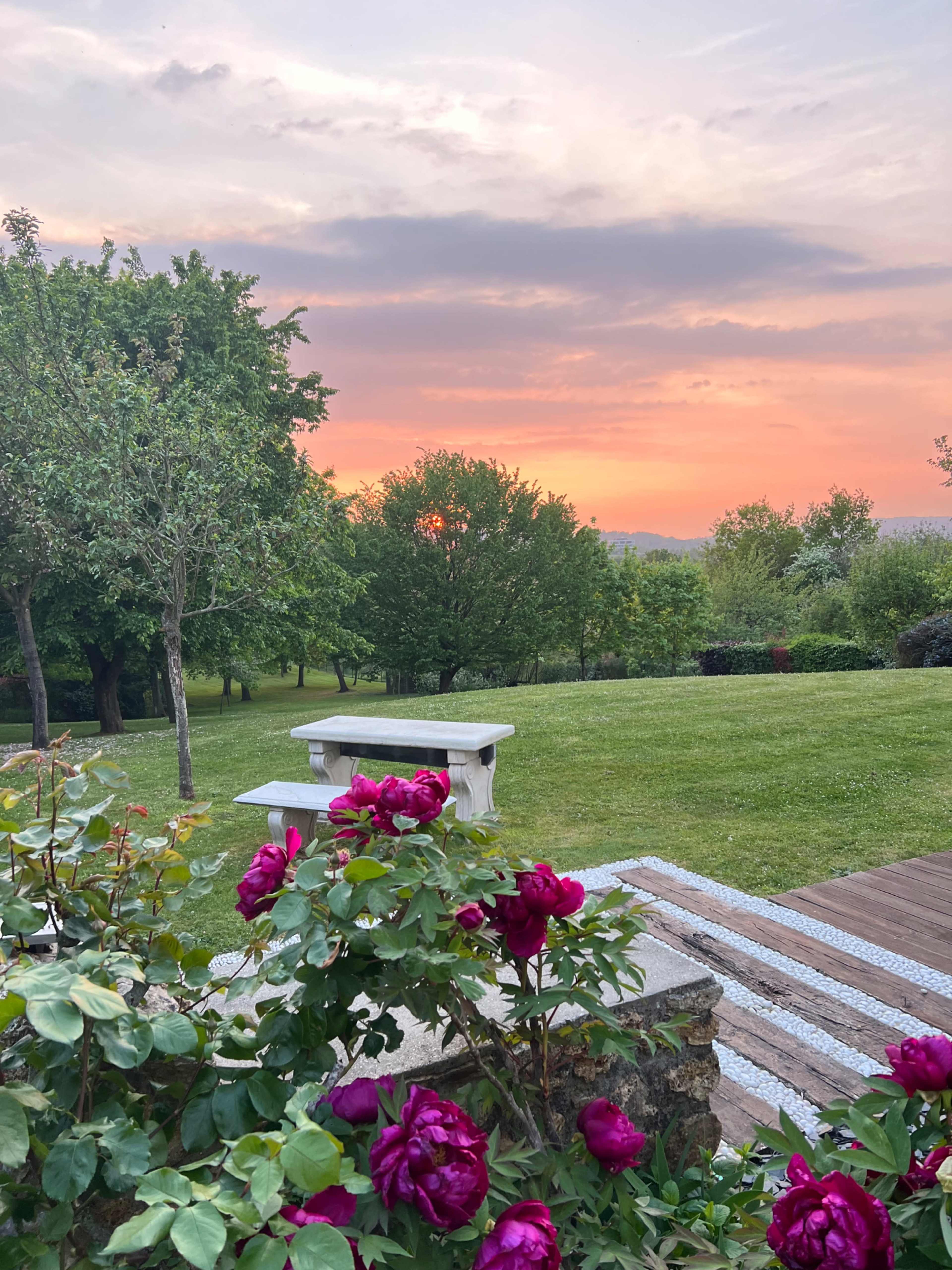 A garden scene features a stone bench amidst colorful peony flowers, with trees and a sunset visible in the background.