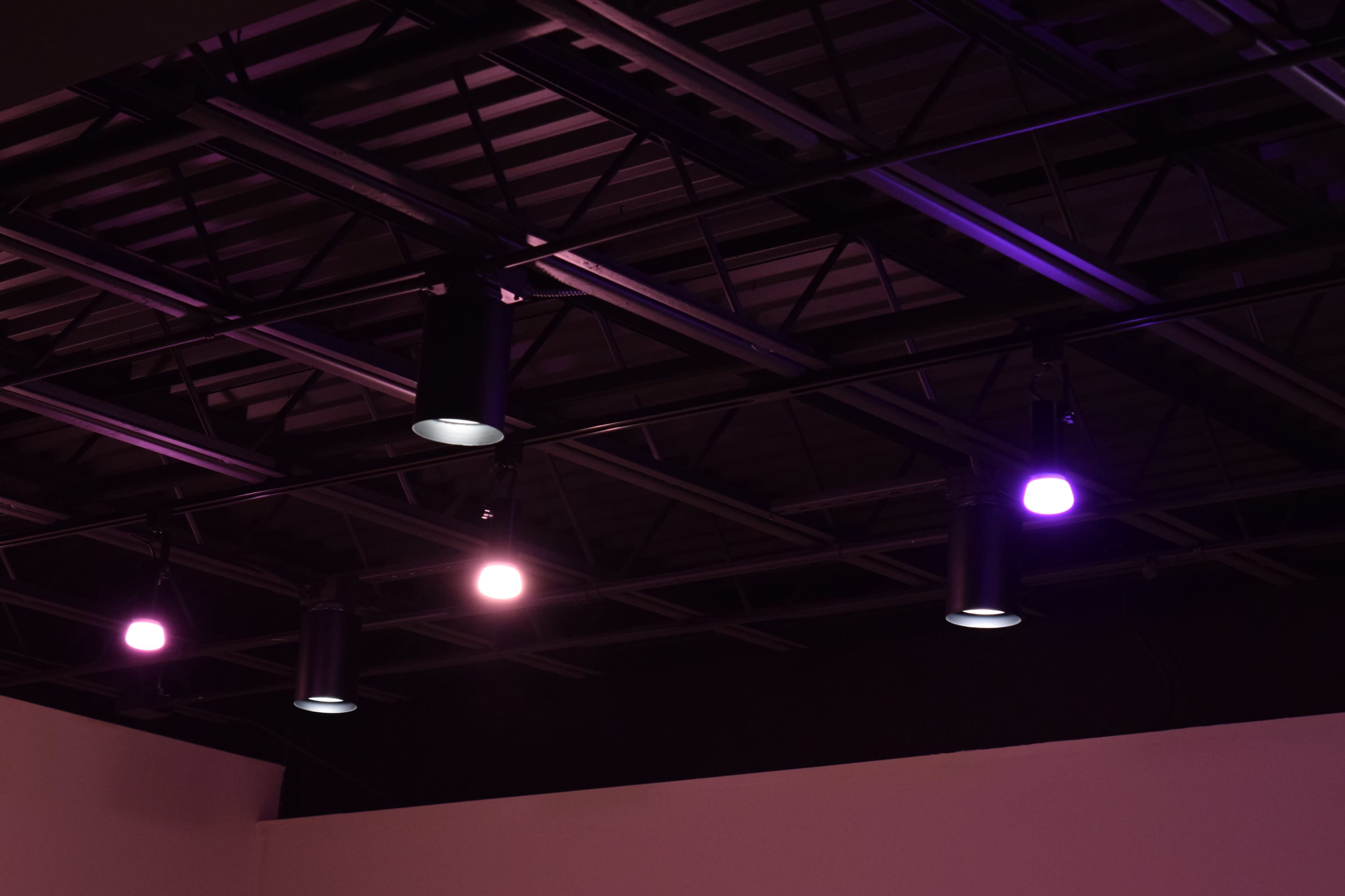 Four track lights hang from a metal ceiling grid, illuminating a space with a mix of purple and white light.