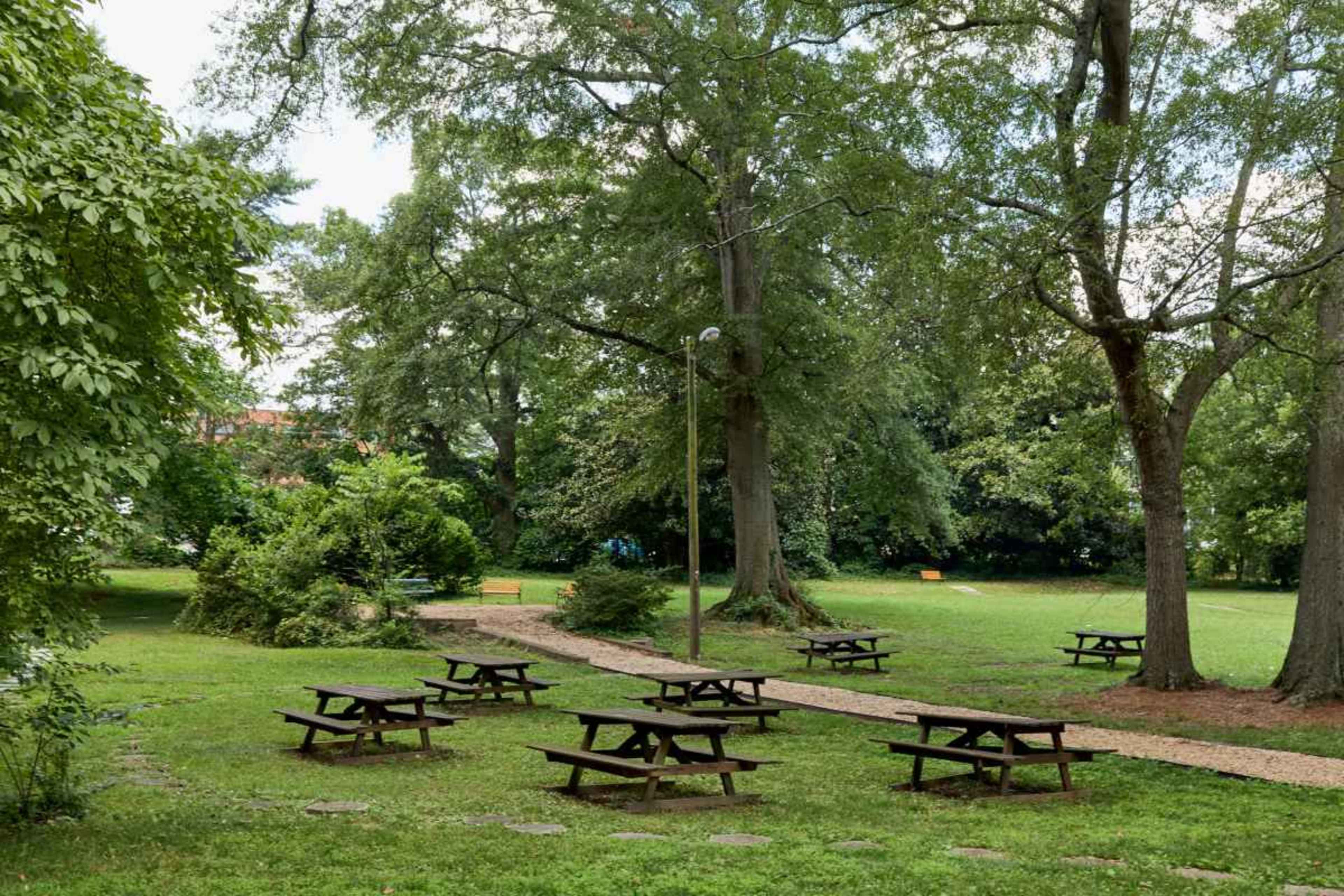 The image shows a grassy area with several picnic tables arranged around a gravel path, surrounded by trees and shrubbery.