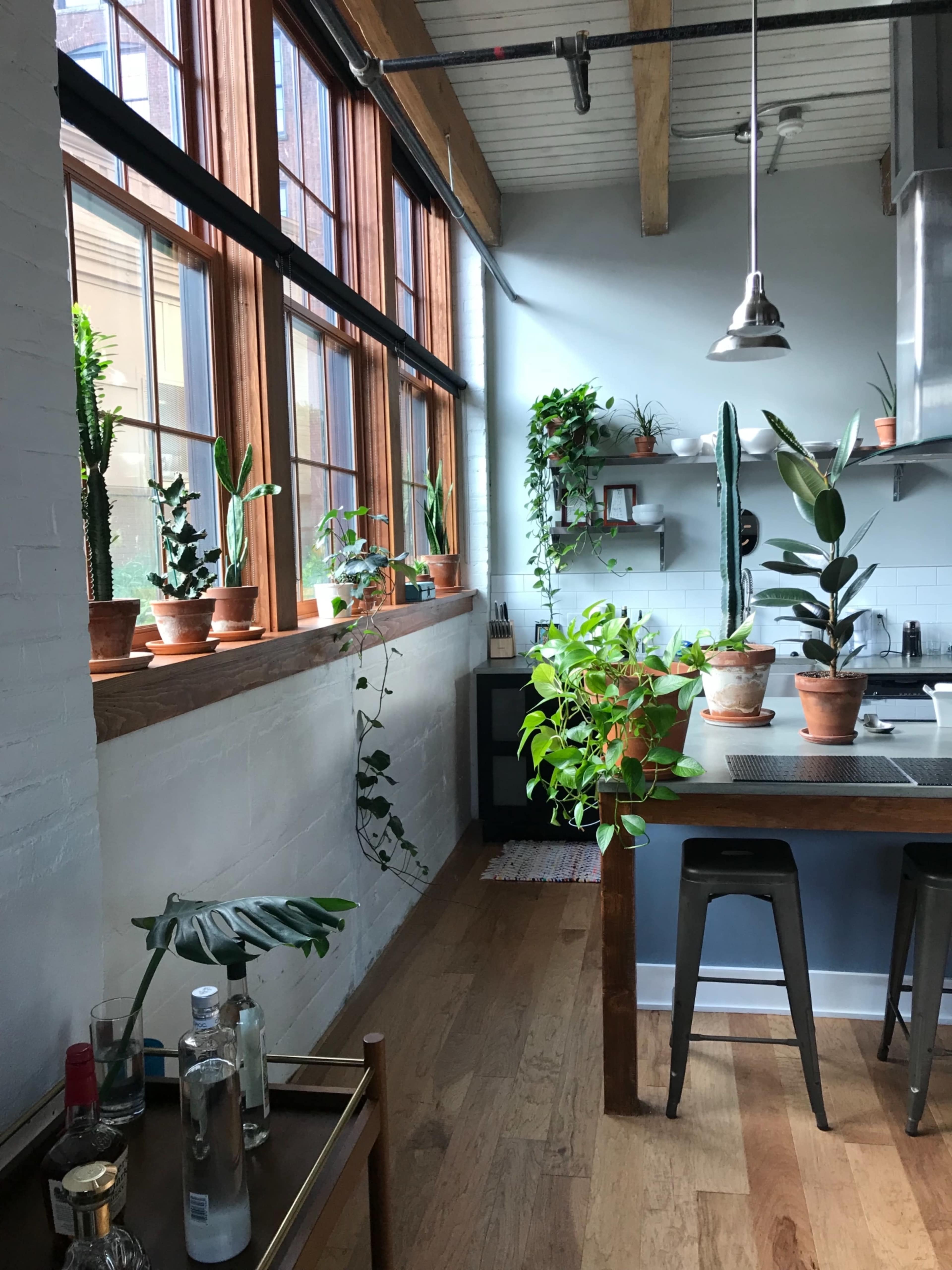A modern kitchen with large windows, potted plants on the windowsill, and a wooden dining table.