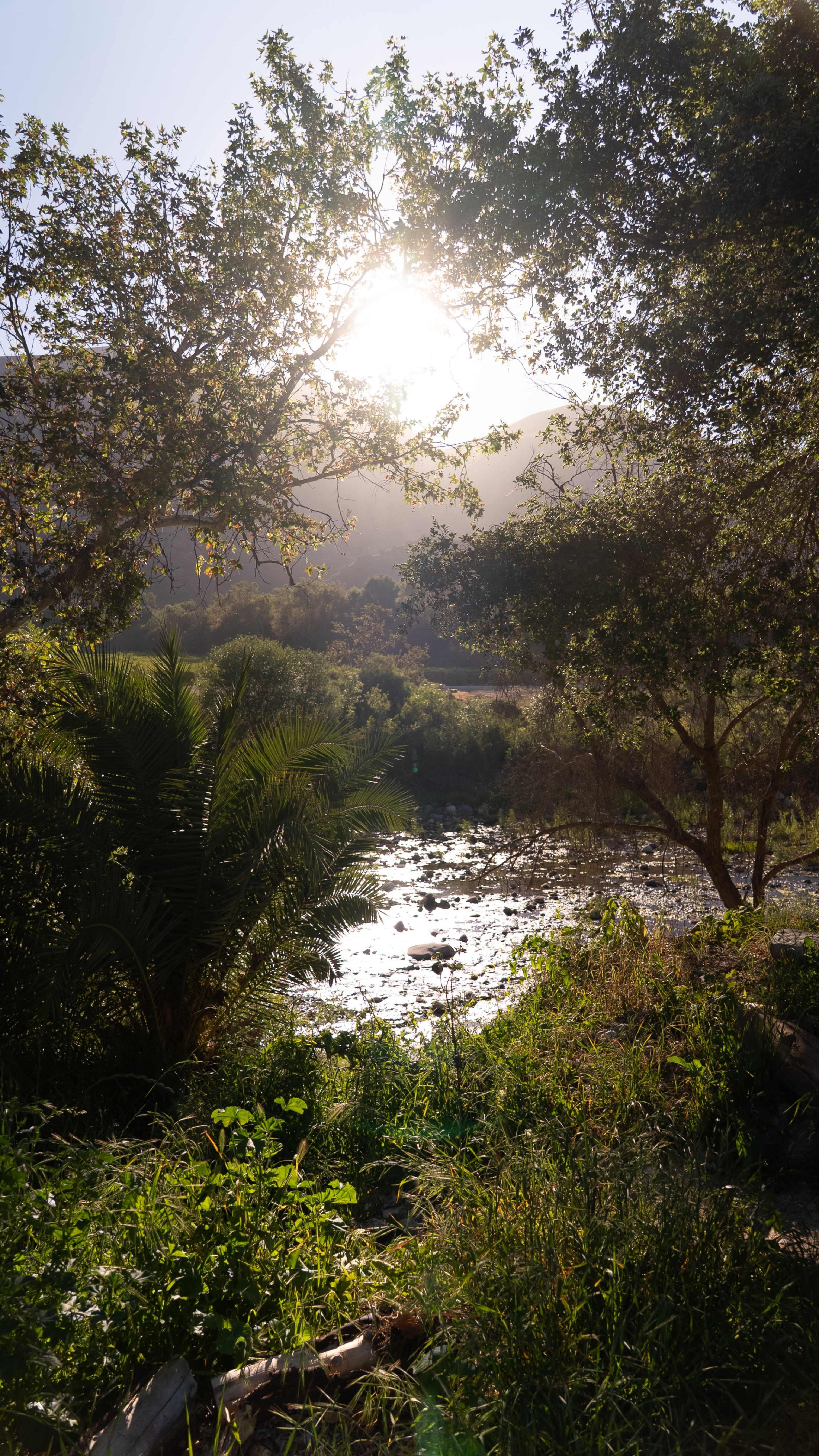 The image shows a river flowing through a lush landscape, framed by trees and illuminated by sunlight.