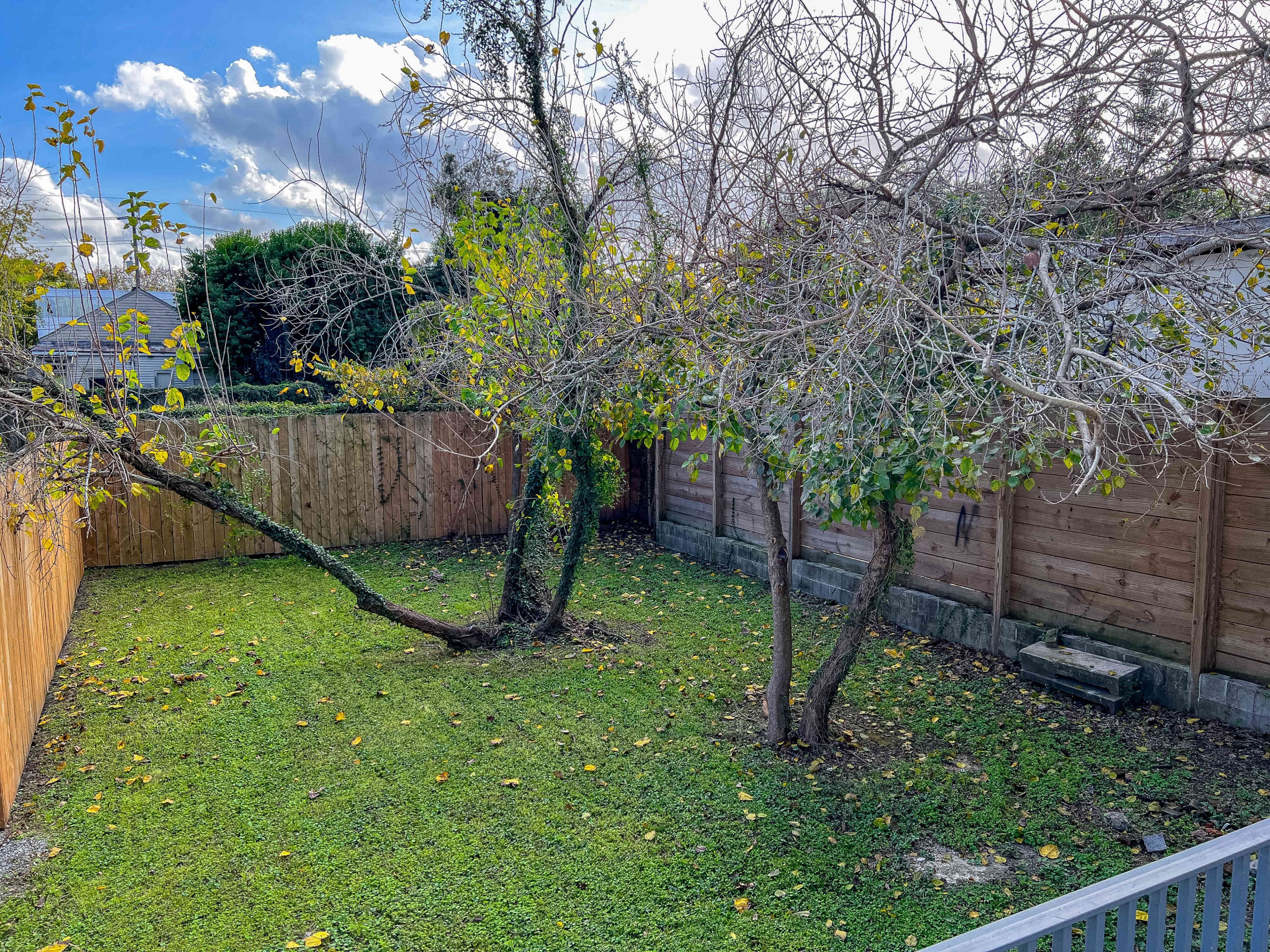 A backyard with two trees, one leaning to the side, surrounded by grass and a wooden fence.