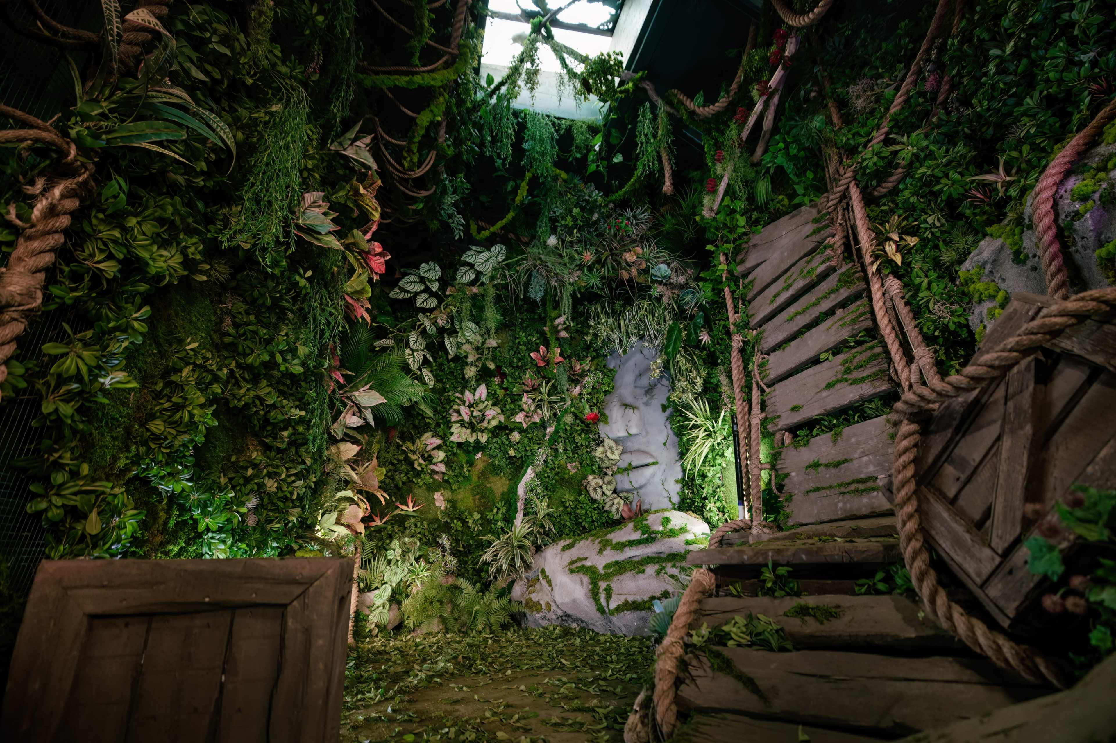 A lush, green interior space featuring a wall covered in various plants, with a wooden chair and a door in the foreground.