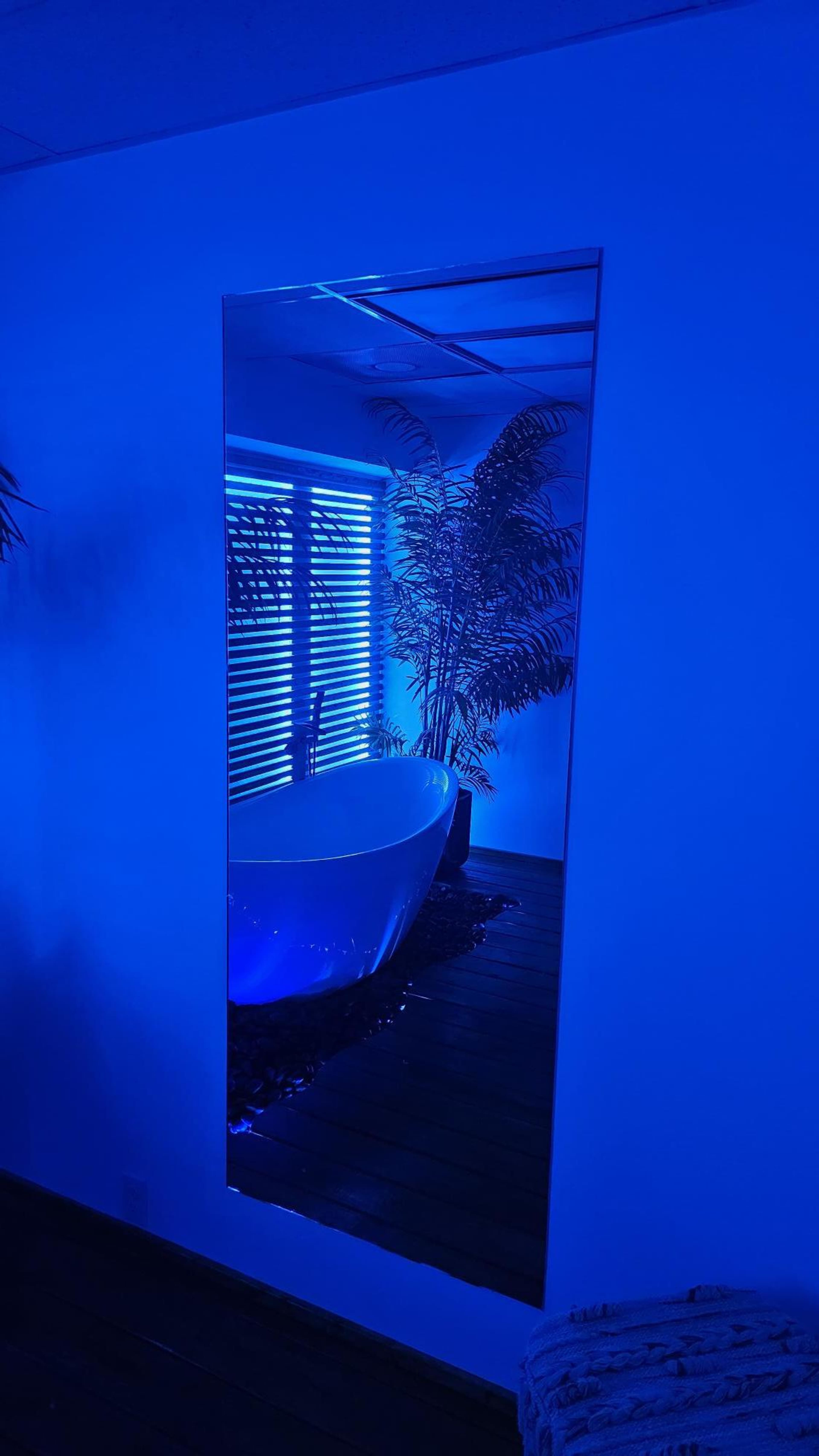 A large mirror reflects a white bathtub and a plant in a room illuminated with blue light.