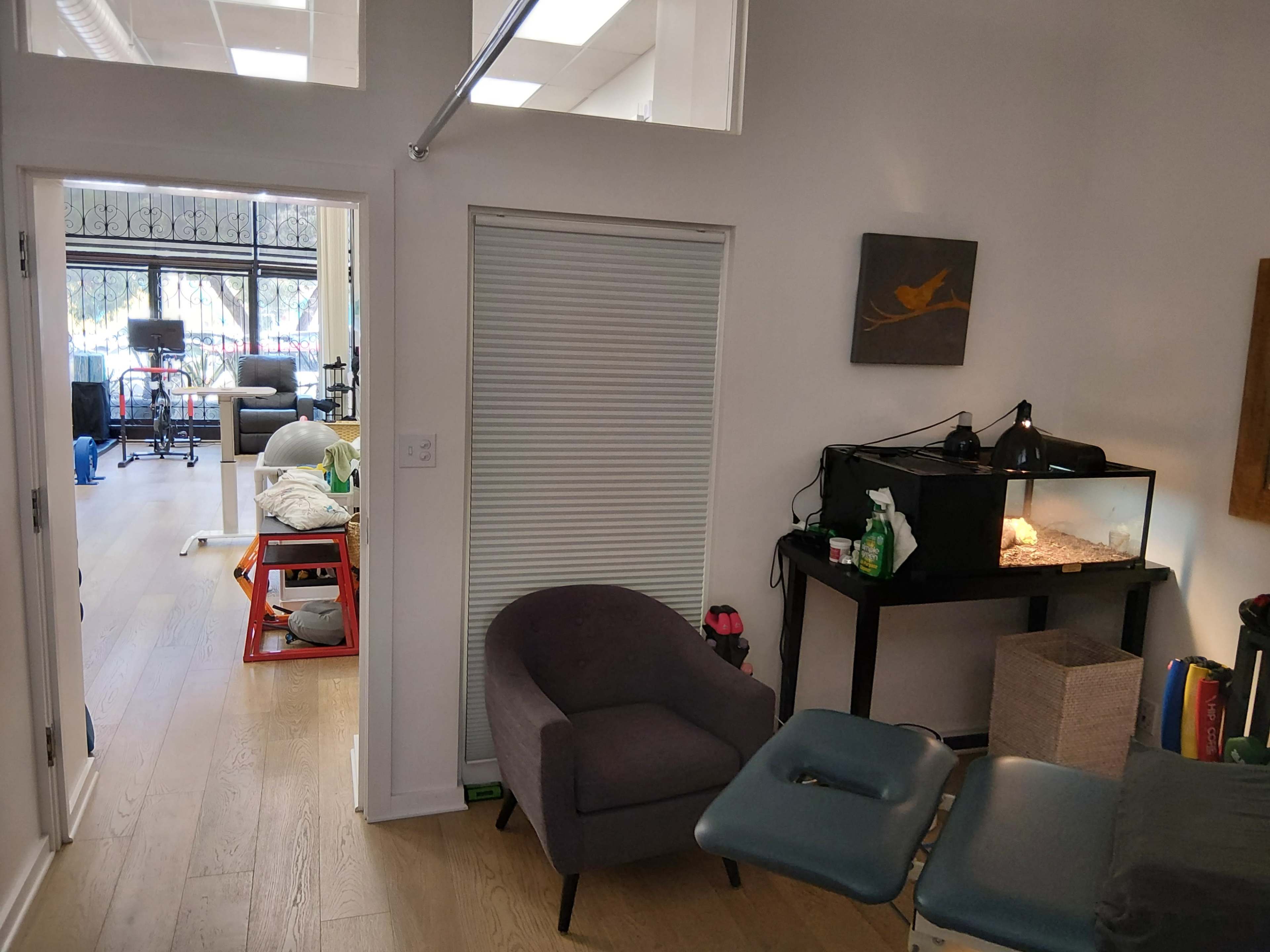 A waiting area features a purple chair, a small aquarium, and a treatment table, with a view of a fitness space through an open doorway.