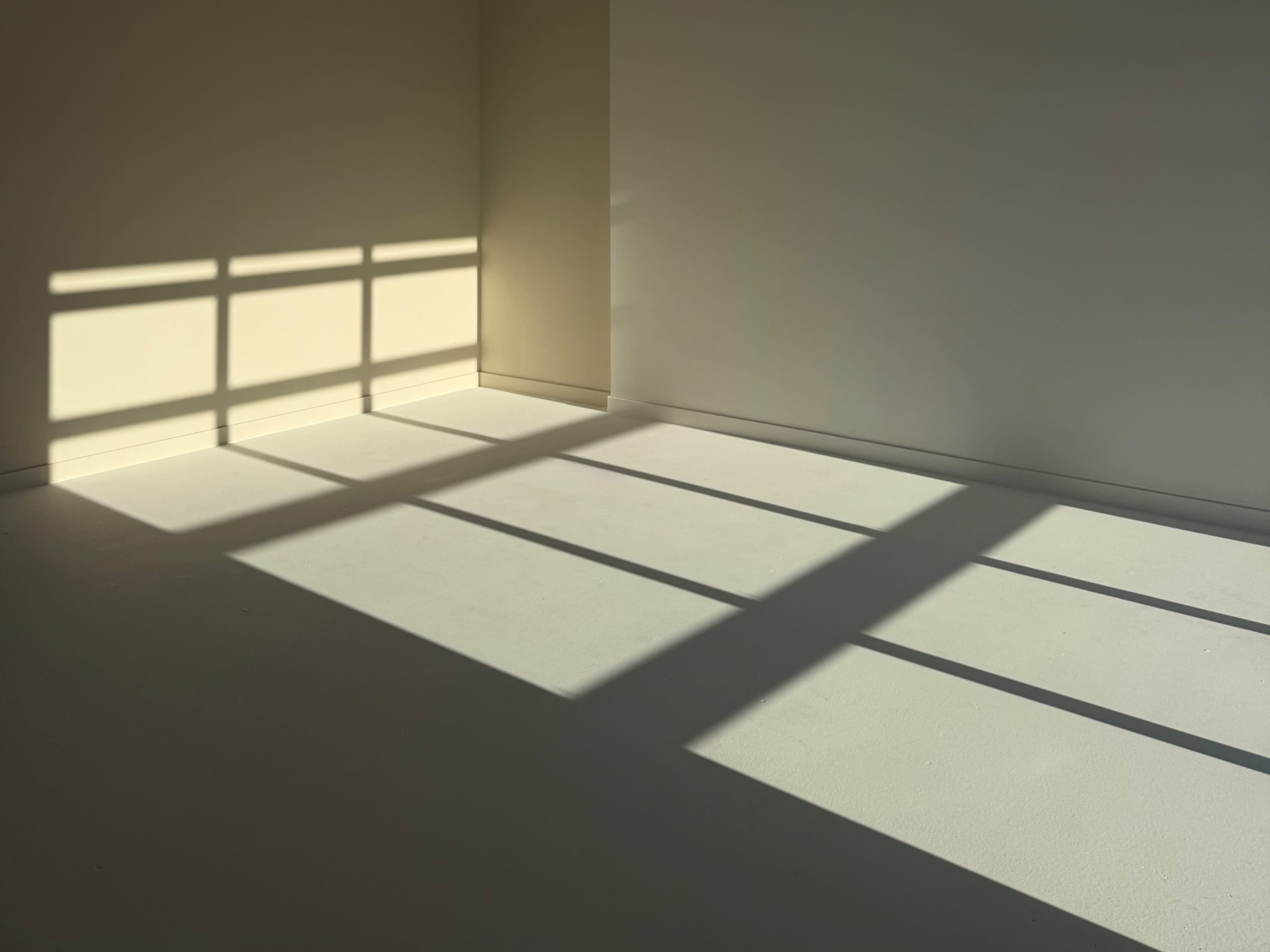 Photography Studio in Memorial Houston. Image in Washington Avenue Coalition / Memorial Park, Houston, TX