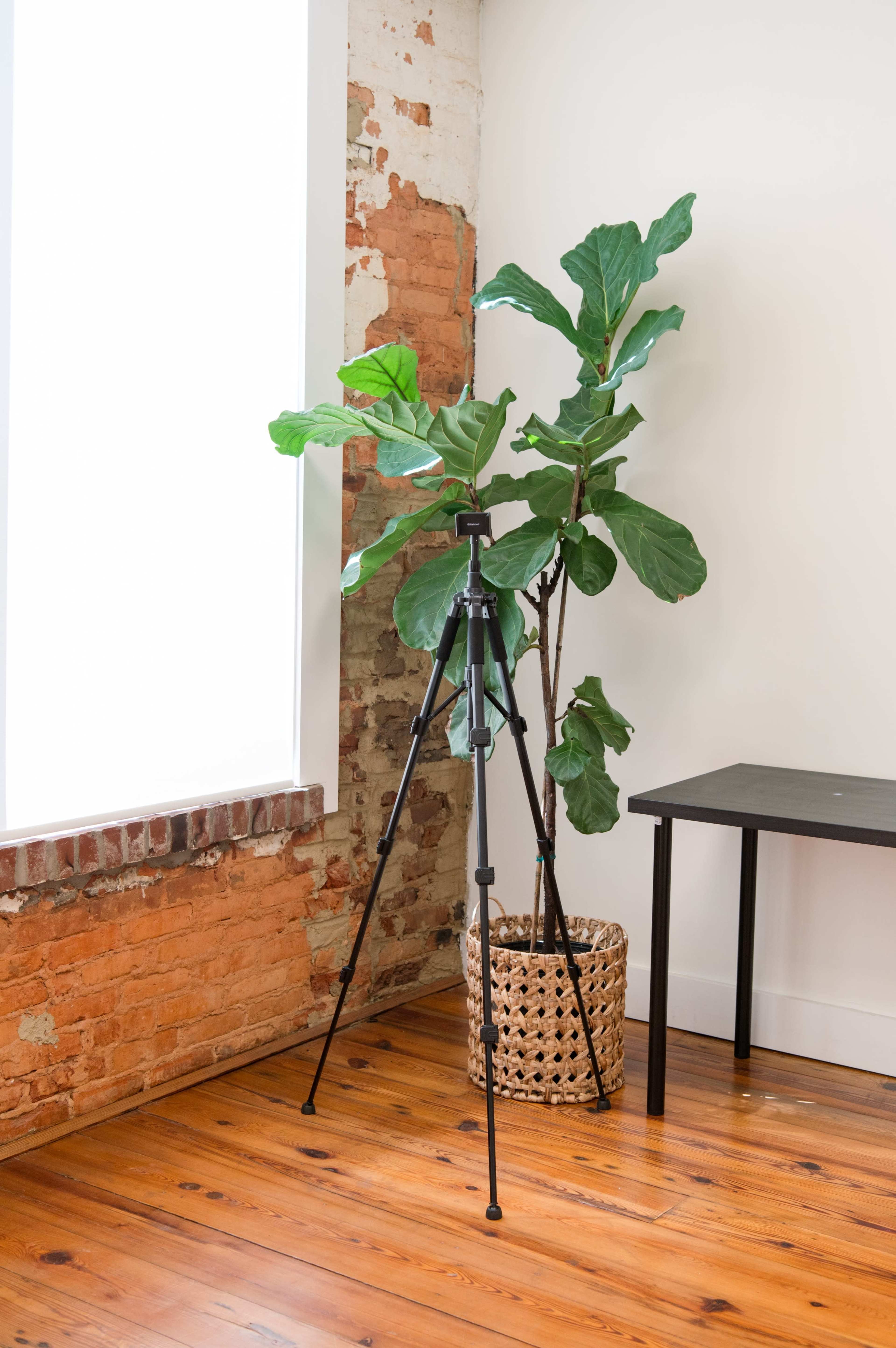The Studio Image in Opelika, Opelika, AL