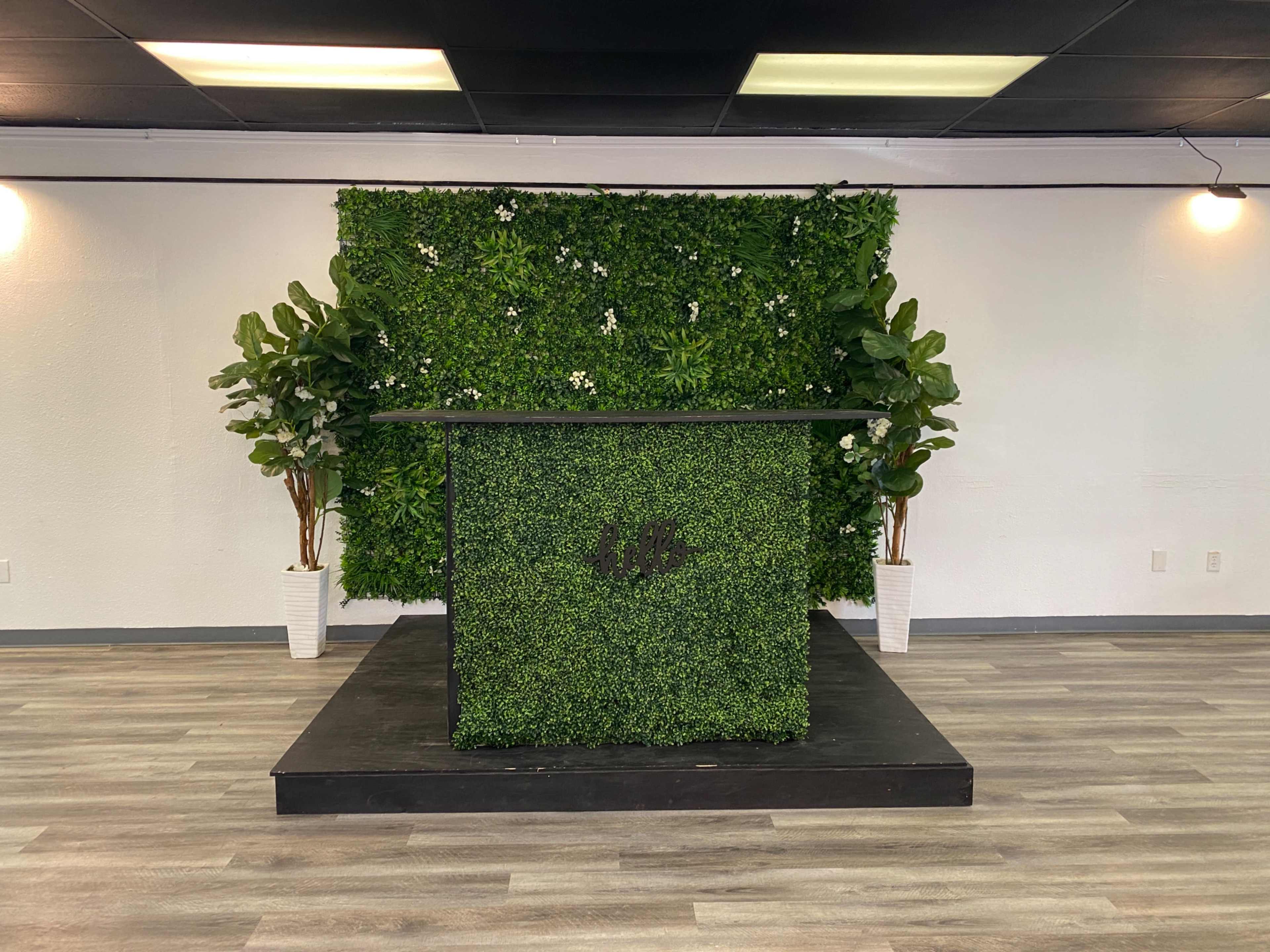 A small stage with a green, leafy backdrop and a black podium, flanked by potted plants in white containers.