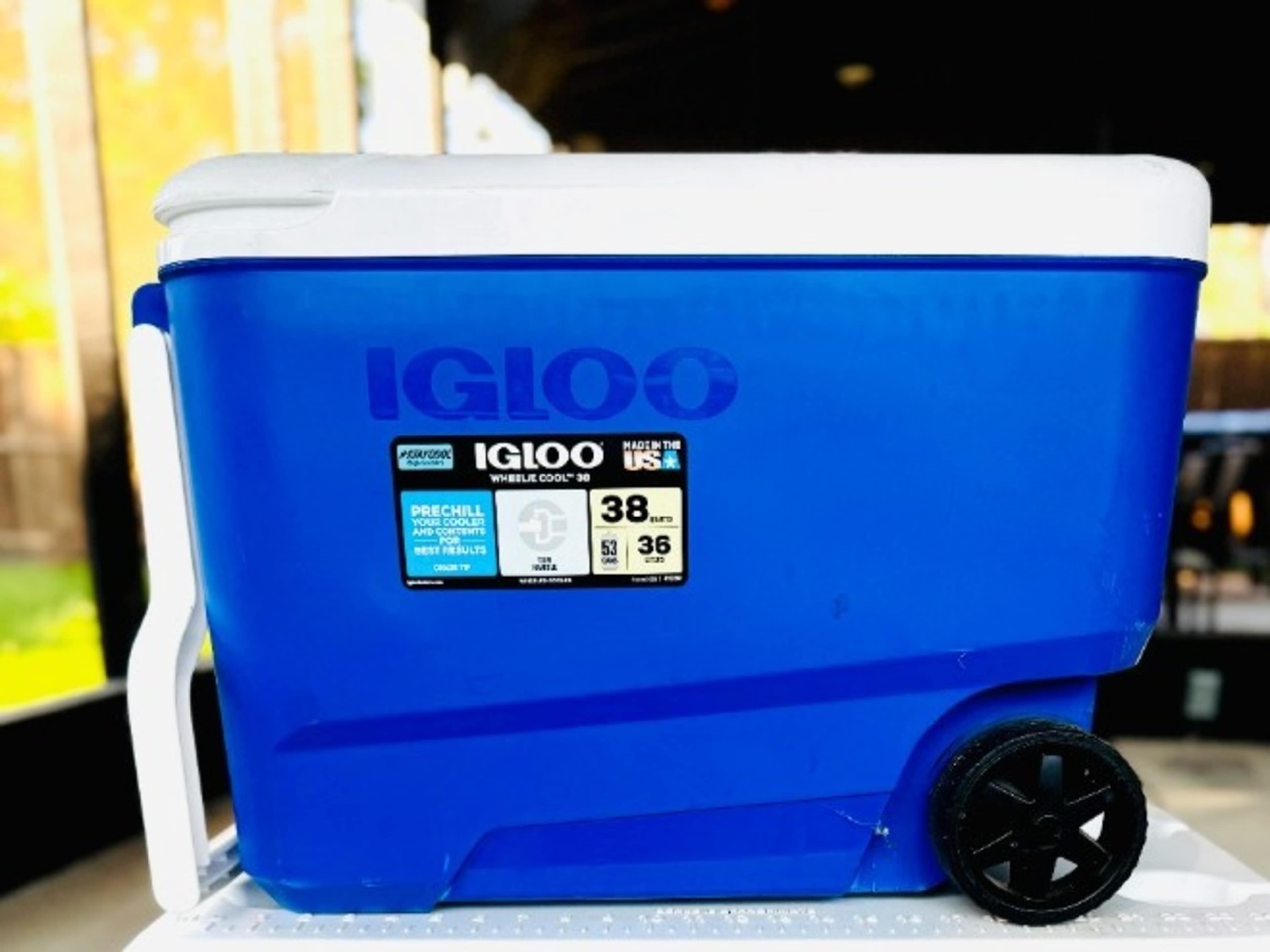 Cooler