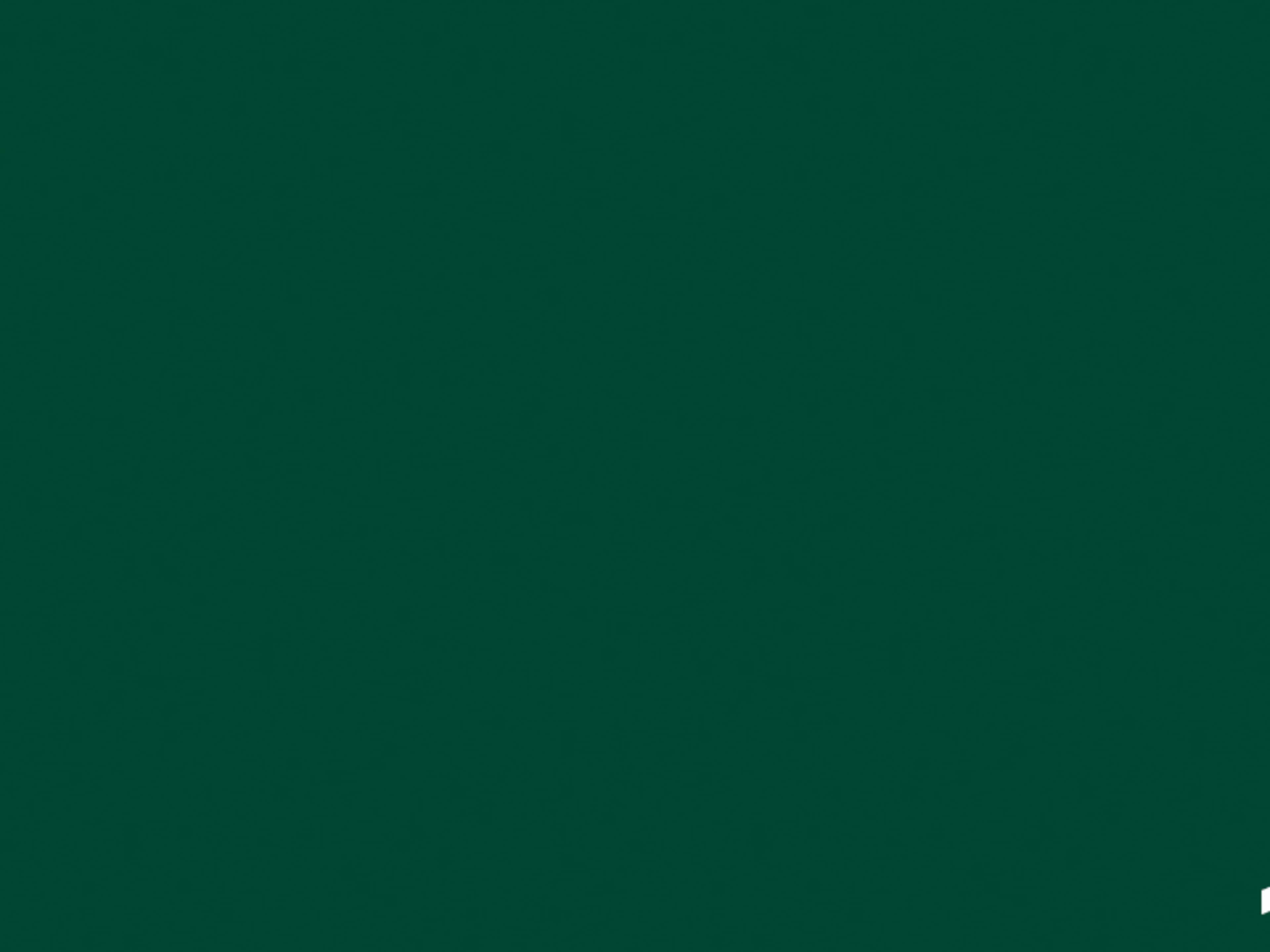 86" Wide Evergreen Seamless Paper
