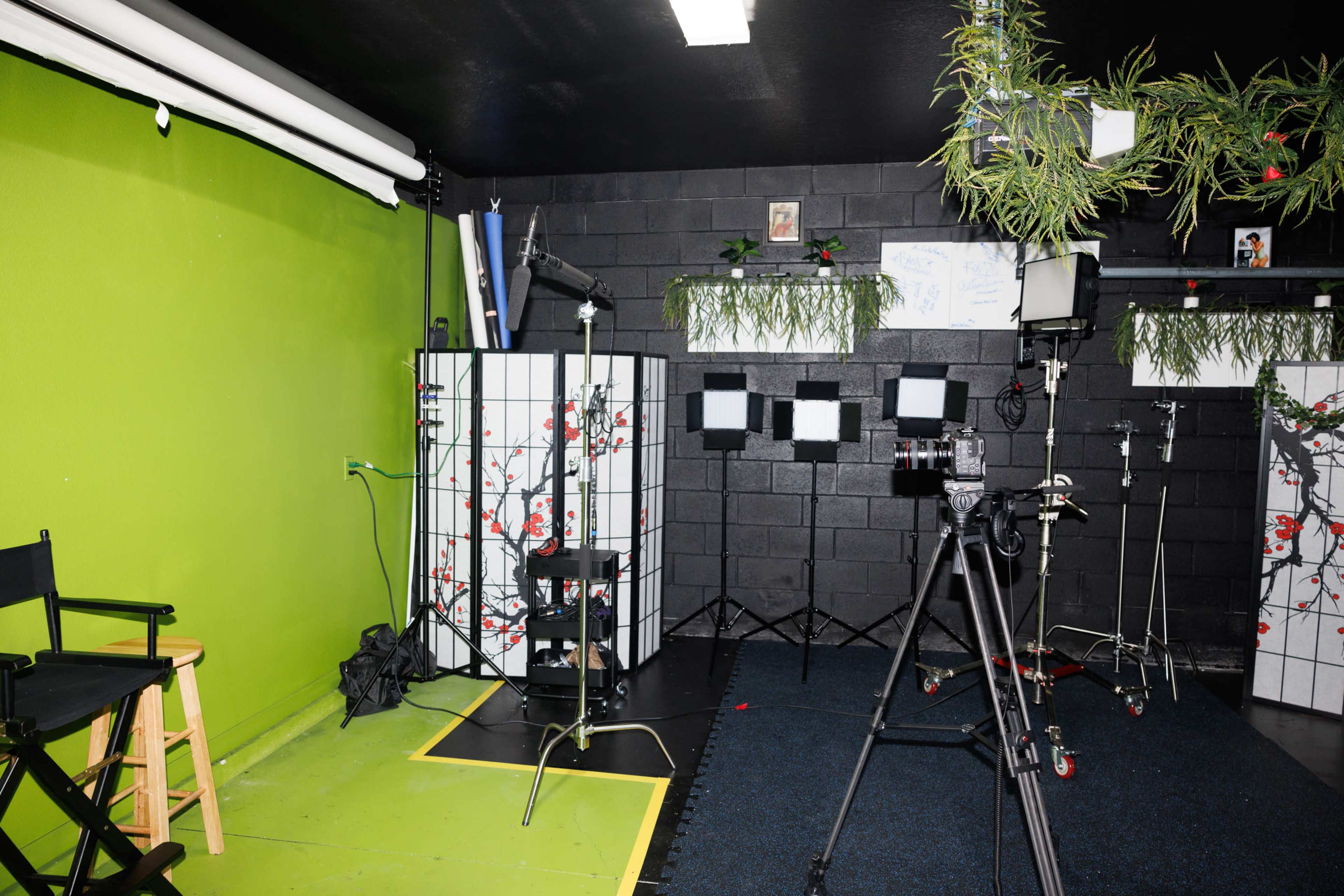 A small studio room with green walls, studio lights, a black camera on a tripod, and a folding screen with a floral design.