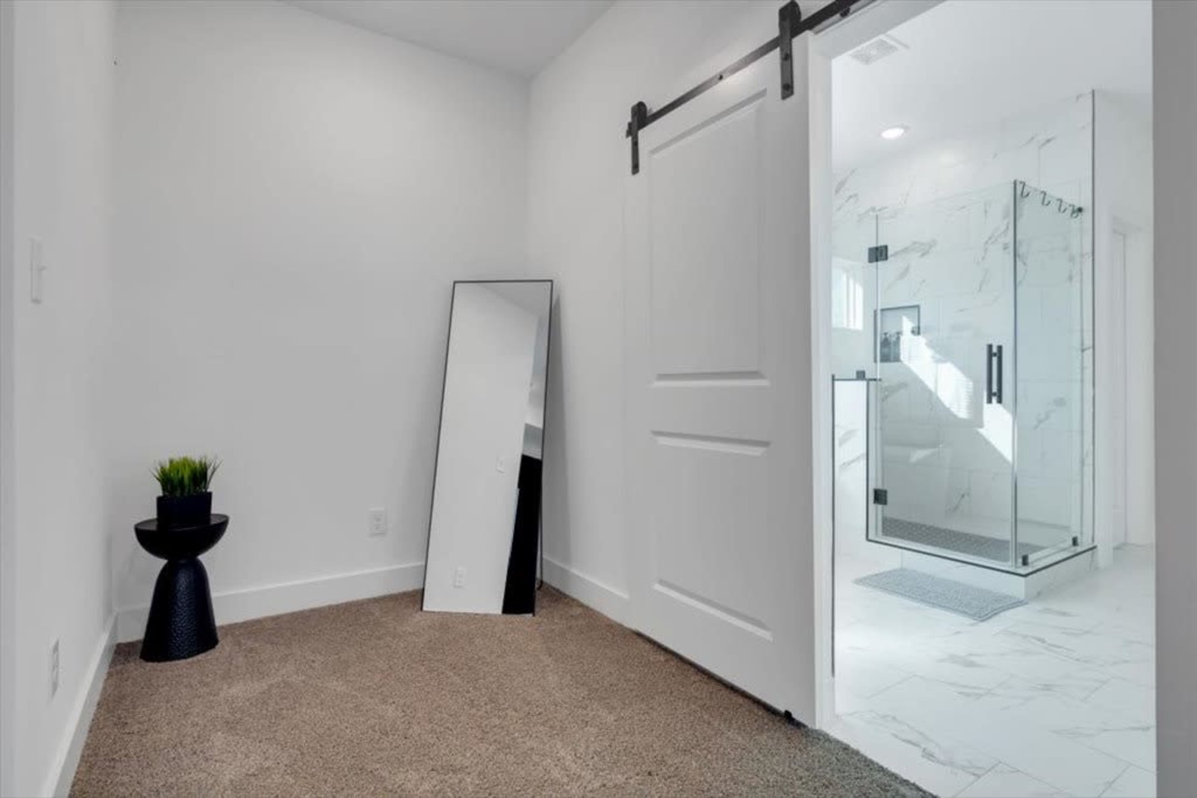 The image shows a spacious bathroom entrance featuring a large mirror, a potted plant, and a shower enclosed with glass doors.