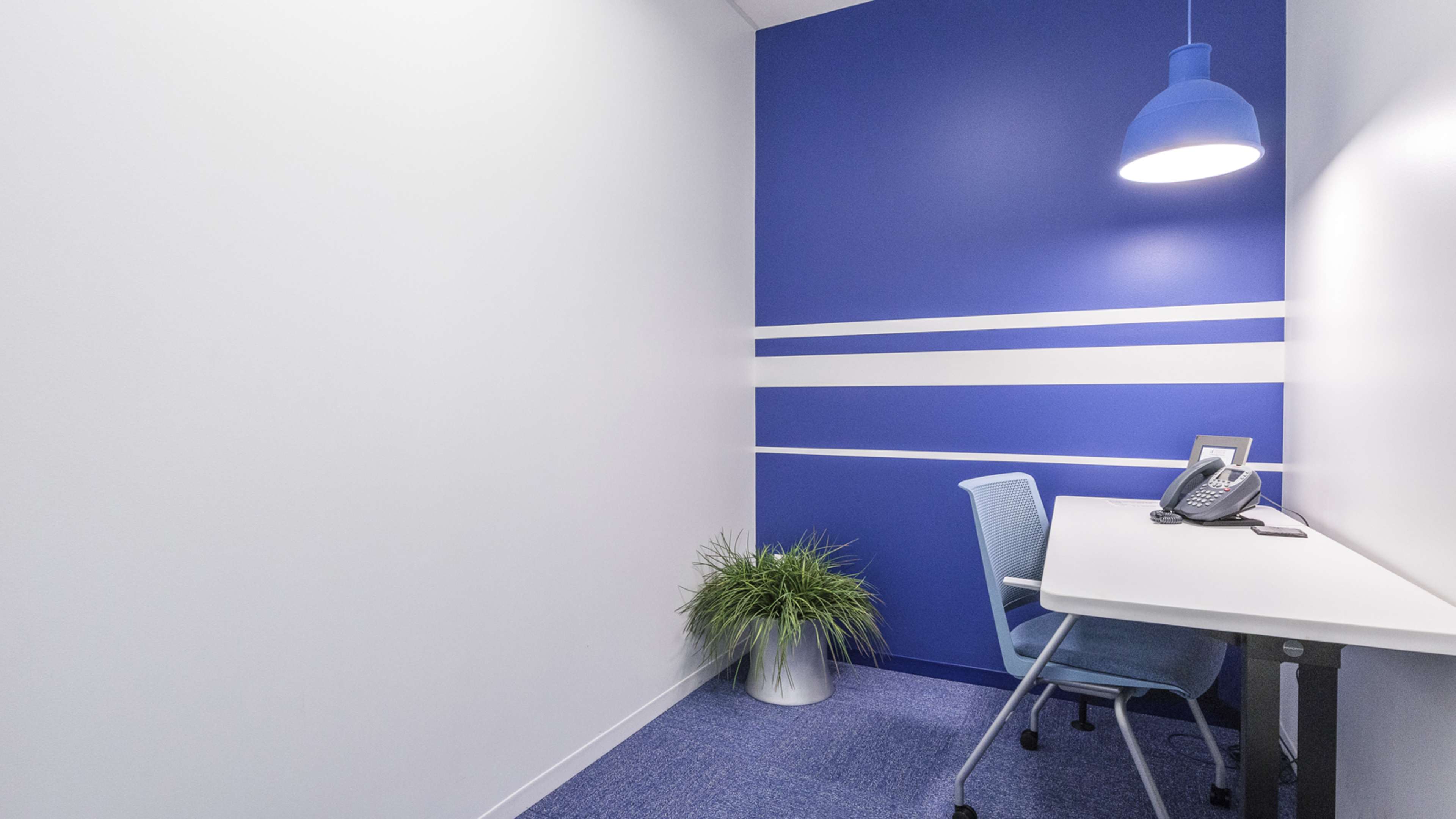 A small office space with a blue accent wall, a white desk, an office chair, a telephone, and a potted plant.