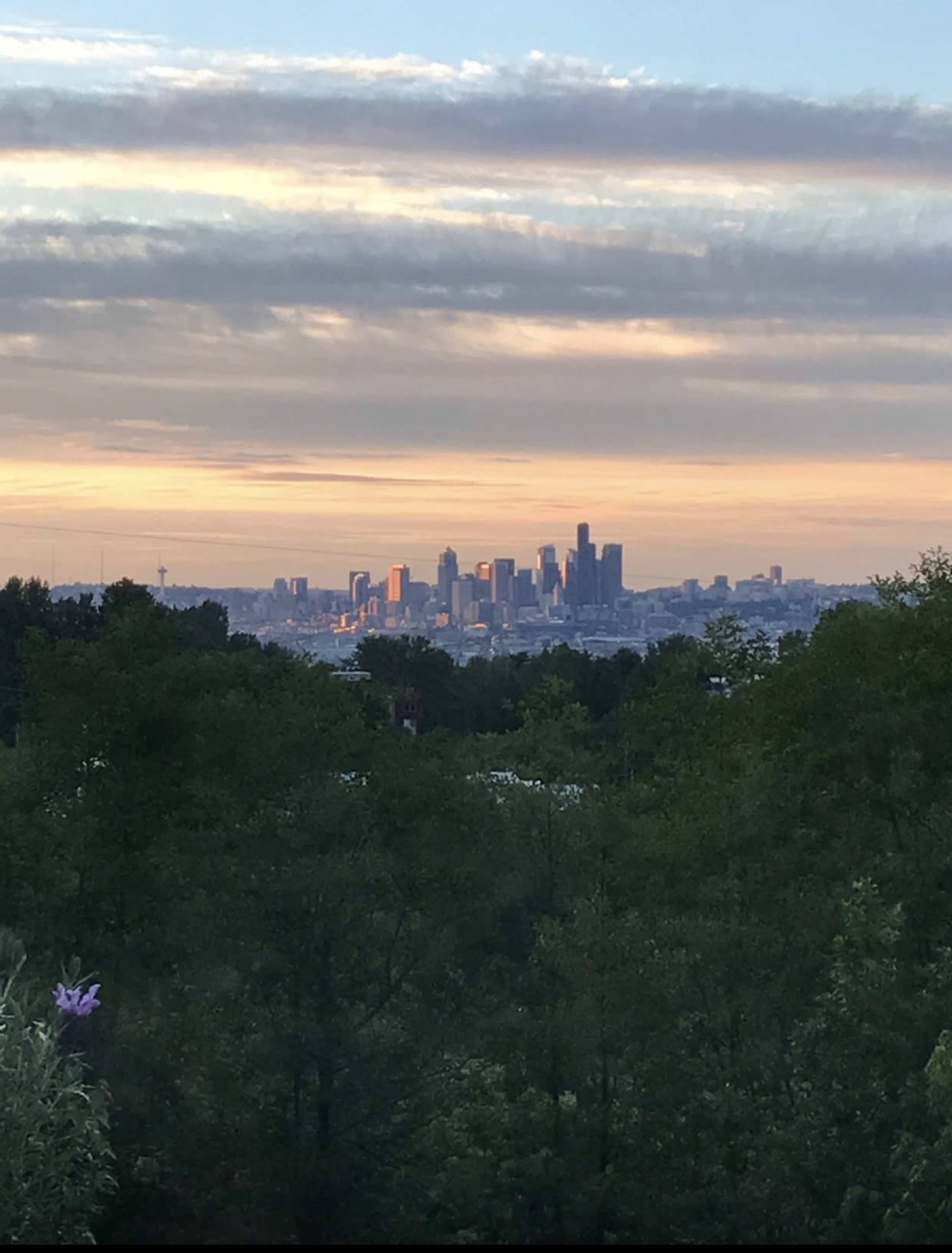 Large Outdoor Green Space with City Views - Must Love Goats! Image in Delridge, Seattle, WA