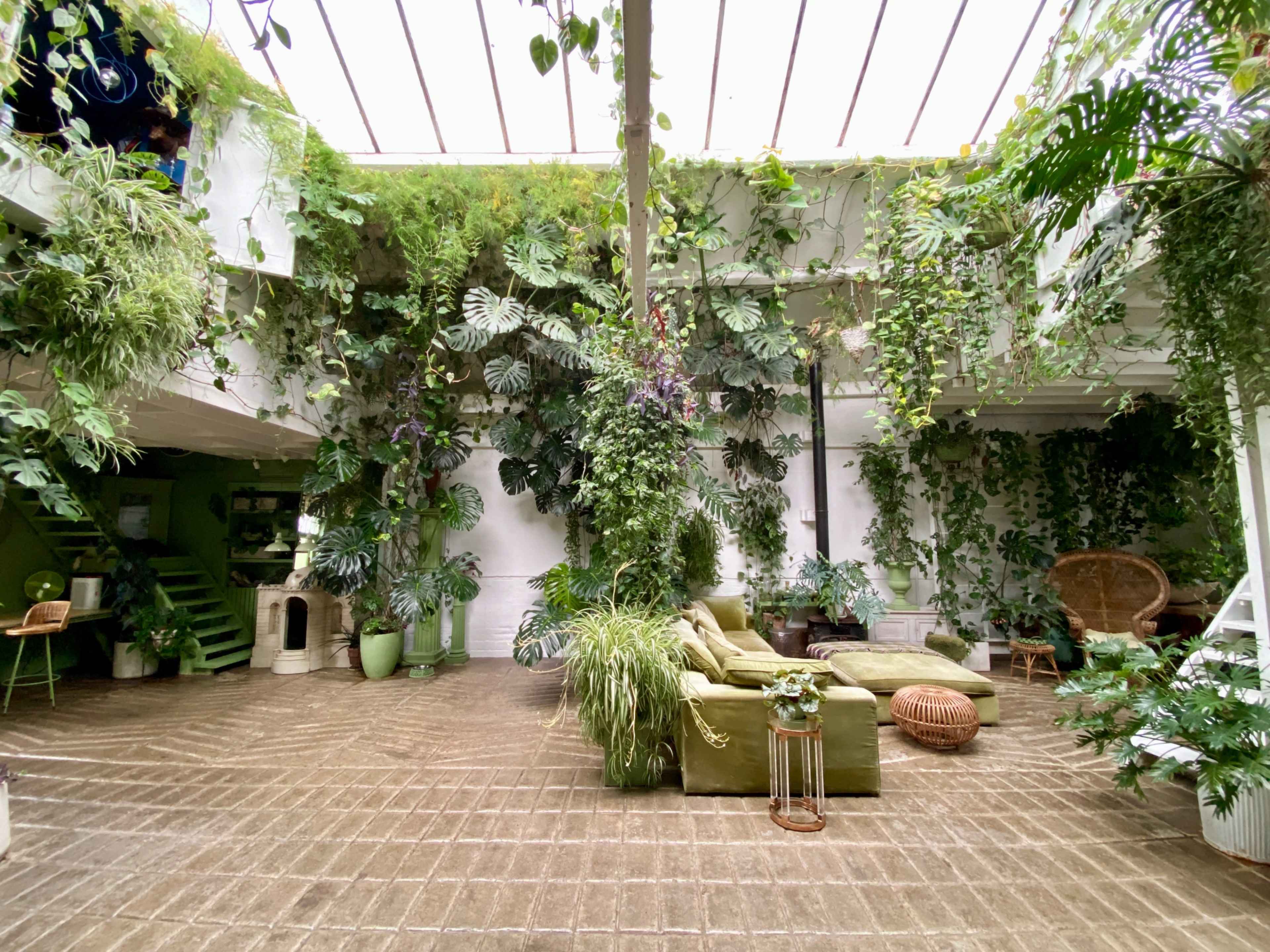 The image shows a spacious indoor setting filled with various plants and greenery, featuring a seating area with a green couch and large potted plants.