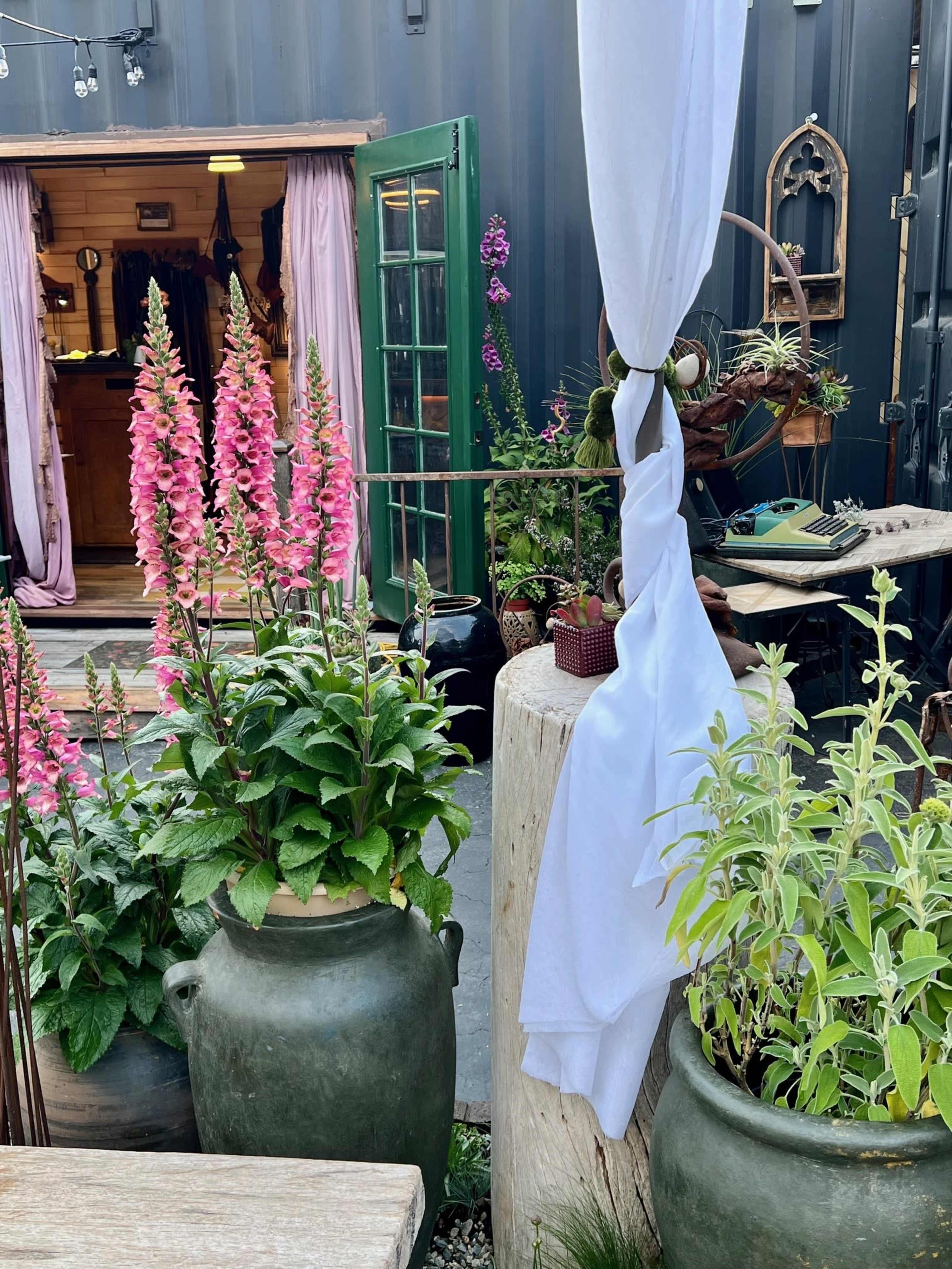 Oasis in an Industrial zone-art collective, with vibey studui / warehouse feels Image in Laguna Beach, Laguna Beach, CA